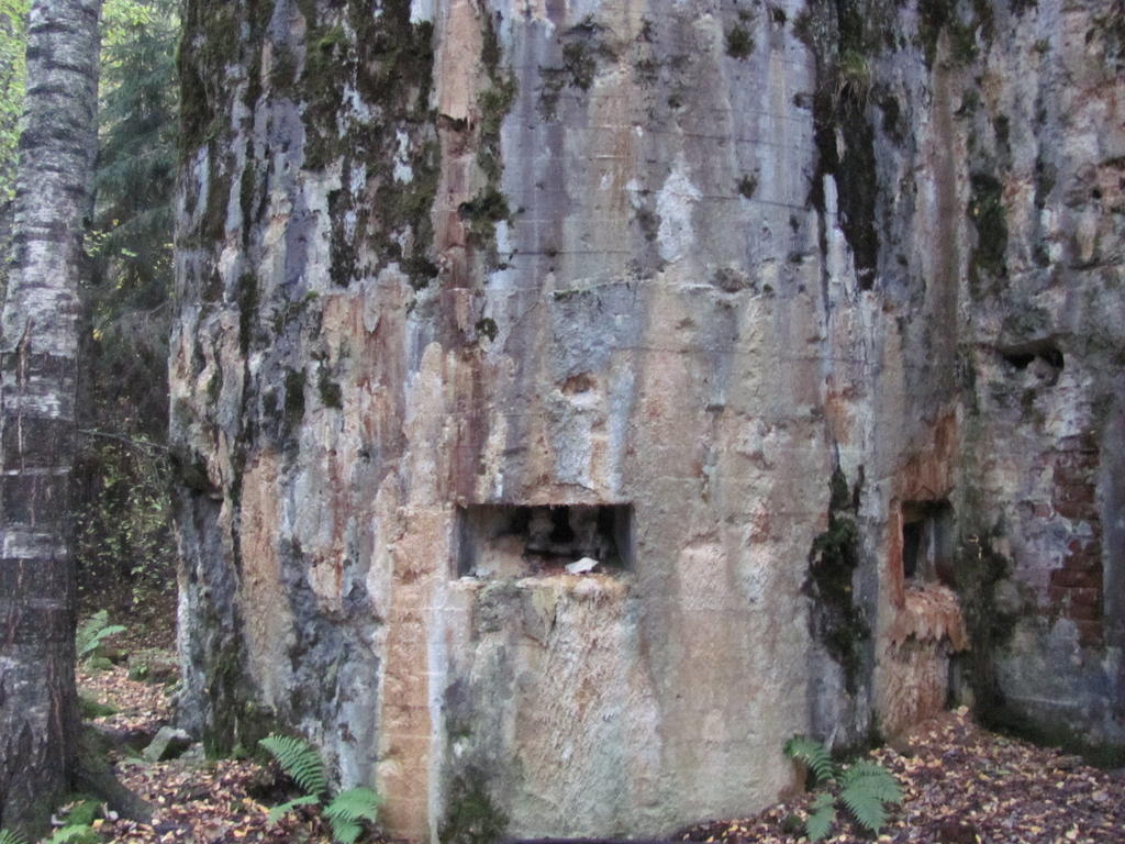 turkinsaari linnoitus 2010