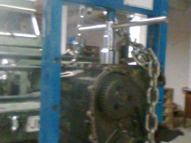 mnnn irrotus 2