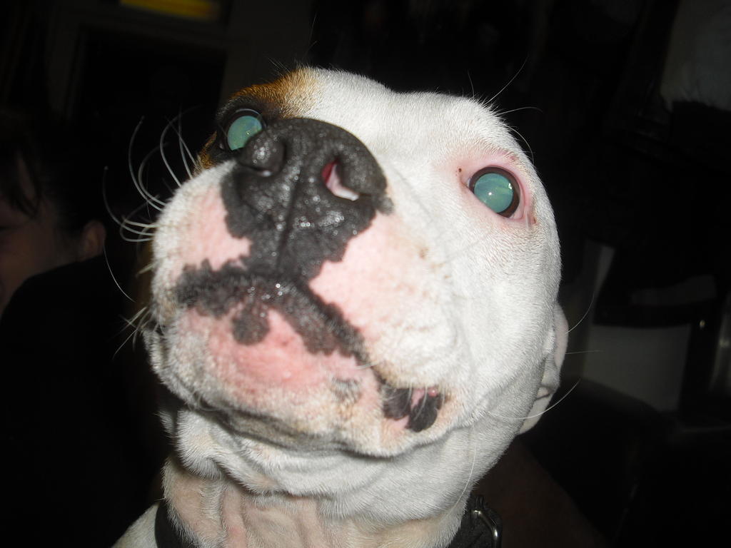 Ihme ruttuturpa, Sisu pntt