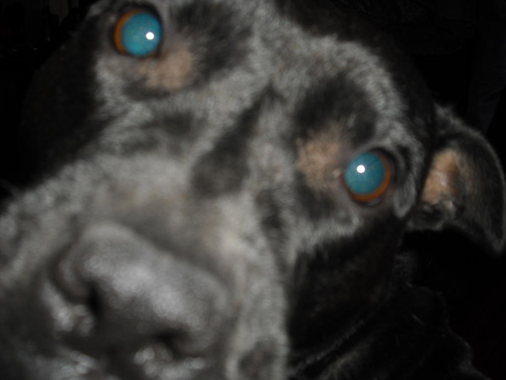 Manta from Moscow. Hyvin ker fosforia lihansyjn silmt nkjn. Ravintoketju lienee avainsana:-(