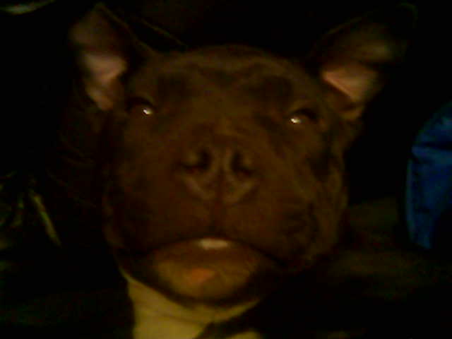 Creetings from the darkness, UkkoTheMan pienen