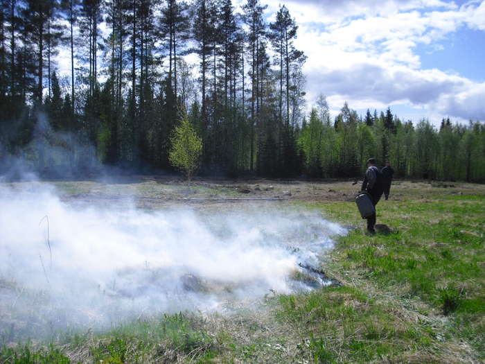 PICT0002
Huttunen
Tyhjennä Keskusteluhistoria
Tänään
00:18
haluukkos kuulumisia muuten kuulla, tapahtuu ja lujaa
peltohan oli toimenpidekiellossa, no nyt sen saisi nostaa kun 12.10 on ollut ensimmäinen päivä, olin täällä 18.päivä kun olin aiemman 2-3 viikkoa varannut nostamiselle jolloin normaalim oikeaoppisen poliisitoimen mukainen toimenpidekielto eli erittäin ammattimaista ja hyvää poliisitoimen mukaista poliisityötä eestin poliisilta, minua ei esimerkiksi missään vaiheessa edes harkittua tai esitetty vangittavaksi samasta asiasta jossa suomessa taphatuneiden asioiden taltiointi olisikin oma asiansa, ei ole hyvällä mallilla siellä asiat tosiaankaan
no mutta nyt on nostolupa ja pelto on lumen alla
linnut syöneet melkein kaiken
kannattaisi kuvata maksan vaikka laivalipun yli samalla jos saa muistikortin, jotain otoksia on kun peipot syövät ja oikein huolella
siellä on mennyt vähintään kymmeniä kiljoa peippojen suihin
semmoisia tänne, + rantsi menossa vasaran alle 6 vrk sisään
istutin pihamaan jo nyt täyteen että kyllä siellä kasvaa tulevanakin kesänä juuri oikea geeniphoja tulevia aikoja varten, on hyvä kestää vähän routaa
kuin niva jäätiköllä konsanaan
tulevana viikonloppuna saisi näyttäviä otoksia, osallistun vaikka siihen rahoitukseen jos lupaat kuvata hakkuuaukon joka syntyi tässä samalla yhteiskunnan aiheuttamia kuluja rahoittaessa
25 ekee on yksi suunta, tulen tallinnasta hakemaan
viikonloppu täällä ennen talvea, kasvi on vielä pellossa
poliisi on koulutetumpi kuin suomessa kuitenkin, kaikki ok lukuunottamatta ruuhkaan juuttumista keskusrikospoliisin rutiinimittausnäytelaboratoriossa
(tallenna tämä keskustelu esim word-tiedostoosi) itselläni ei sitä välttämättä ole tai aukeaa kun loimaan kaverin kuvaa klikkaa
tai sitä viereistä