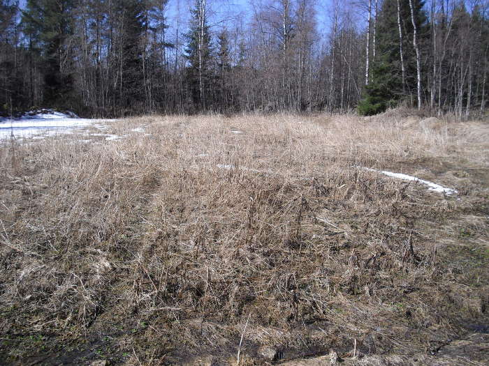 Ji sitten tuotannot lumen alle 2008. Ktev poliisilta pit pidtettyn juuri ennen sadonkorjuuta, ehti lumetkin tulla pelloille. Tm kuvan erittin laadukas kannabispelto ji korjaamatta talteen poliisin laittomien toimien seurauksena tuolloin, mielenkiintoista mys ett mitn mediaa ei tuolloin asia myskn kiinnostanut, kukkivan pellon keskelta soitti hamppumies muun muassa savon sanomille. "me ei tehd juttua sellaisesta", sanottiin. Terveisi mys Sepolle. PICT0031

Taustat: https://www.youtube.com/watch?v=zCYe8IgDLZ8

STEREOMANTRA - Blue Giant

Savvas Kalt
96,7 t. tilaajaa

Tilattu


https://www.youtube.com/watch?v=LfkqJOAEsFM

Jean Michel Jarre - Oxygene 8 Megamix

https://www.youtube.com/watch?v=aYMNRUiiL1c

EKAOLOGIK - Mind Travel

Savvas Kalt