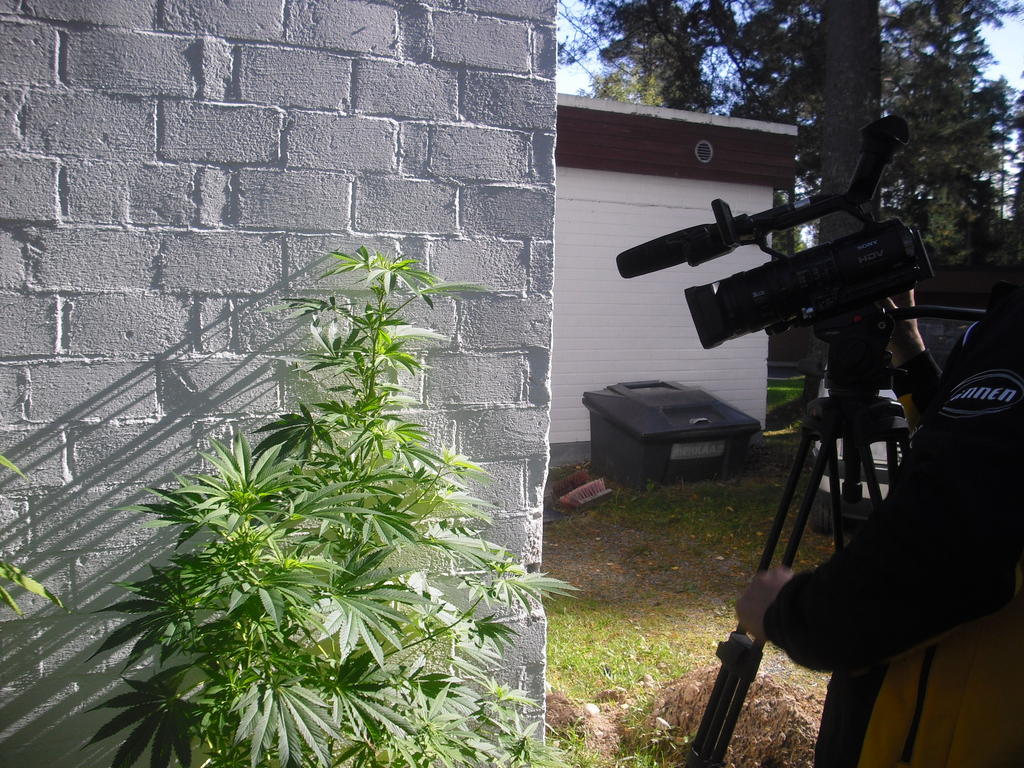 CIMG3003

Aihe: kaiken materiaalin yhdistminen mm.

13. elokuuta
18:54H

joo, olis tosi hyva
18:54Min

tarvitsen selvityksen thn asiaan
18:54H

voisit tehda rikosilmoituksen omaisuuden tuhoamisesta ja pyydat ne paikalle tutkimaan
18:54Min

jep esim juuri nin
18:54H


koko suomi tarvitsee, ala sita unohda
18:55Min

jep!
18:55H

taalla helsingissaki jengi niin peloteltua et kriminalisoivat itse itsesnsa!
18:55Min

katsotaan, mit tuleman pit, vitn ett asiassa on jo tullut muutos, mutta tietoisuus siit ei ole viel riittvll tasolla
18:56H

nain toivon myos

ootko miettiny ulkomailla kayntia
18:57Min

pitisi saada kaikessa rauhassa jossakin keskusteluohjelmassa purkittaa tm homma lpi, mutta suomi ei uskalla keskustella - keskustelun aika tulee viimeistn kunhan asiani julkistetaan, ernlainen lautakauppa-gatehan tmkin on ollut

tm ko. tv-porukka seuraa juuri tt kokonaisuutta
18:57H

haha niin on. ja ajallaan kaikki, mutta hyvin pian
18:57Min

heill on kyll varmasti aika hyvt nauhat

:-):-)
18:58H

ononon
18:59Min

muutos on tuotava tietoisuuteen, en muuten ole varsinainen narsisti, mutta pakko on kysy tunsiko ne grafititaitelijat esim. haarantimppaa, minulla on kyll paljon kavereita siell, varsinkin it-helsingiss

needs some ghettoblast, the hole area
18:59H

haha indeed
18:59Min

helsinki on suttautunut hieman kymmeness vuodessa
18:59H

tiesivat osa jutun, mut edelleenki siin uskos, et oisit menos linnaan

oli kiva muuttaa kasityksia

taidolla tehty on kulttuuria

suttu on suttu ja taide voi olla vaikka graffitia
19:00Min

hmm jaa vanhaa tietoa, no eihn sit tied viel
19:00H

niin kylla. mutta kuitenki asiat rullaa eteenpain!
19:01Min

tuskin tulee linnaa ko:n jlkeen, tm on 375gramman luovutus sairaalle henkillle
19:01H

nii
19:01Min

"voin vihdoin hoitaa tytni"- helpottunut haara kertoo
19:01H

odotas hetki

kayn jeesaan serkkuu jossain
19:12H

kitaran viritys hommia..
20:25H

heii!

ootko viel himas?
20:26Min

jep mutta kohta kiire
20:27H

voinko jakaa ton urbancityboyn linkin?
20:27Min

hmmm
20:28H

mut sullaki tos nakyy koko keskustelu

"tasta ei saa viela mainita.."
20:28Min

annetaan olla viel kohtuu pienelln, siell on kumminkin koko stoori julkisena mm. kuvateksteiss, ihan niinkuin tmkin teksti voi vaikka menn; tm on juuri  PLANTAASI24:

:-):-)
20:29H

no toi keskustelu kuiten nakyy tos nyt kaikille
20:29Min

ideani on, ett kaikki suorana nettiin vaan niin ei j epselv, ett mit on puuhattu, tm on laillista tytni jota koitan hoitaa

niinp juuri
20:30H

jepjep, mut hassulta tuntuu lukee et tasta ei saa mainita?
20:30Min

sen saatan ottaa jossain vaiheessa pois etusivulta, mutta ei nuo muut mihinkn lhde koska en niin halua, kannattaisi teett varmuuskopio ko. albumeista teksteineen

tm iknkuin menee ns.toisen asteen kautta, vaikea selvitt
20:31H

oon miettinykki kovalevyn ostua..
20:31Min

mutta otan esimerkin:
20:31H

ok
20:31Min

kopioin tekstin juuri nihin albumeihin ensin, ettei se hvi

siis nihin
20:32H

joo, onks sulla viela se pikku mu

istitikku
20:33Min

jep, lompakossa
20:33H

paa siihen ni on erillaan koneista
Tnn
22:31H on poissa.
22:46H on paikalla.
22:52H

Hoi Haara! Miten menee? Tuli idea, vois soitella vaik huomenissa?
22:54Min

tm on nykn lhes aina auki, vaikka en ole paikalla

tulee niin pikaisesti tss kyty ettei ehdi odotella koneen aukeamista

traktori on nyt posin huollettu mm.
22:54H

jepjep, senpa takia voiski soitella

nice
22:55Min

sano vaan koska im ready vaikka heti
22:55H

joko kuvausporukka kavi
22:55Min

jep
22:55H

haha, tal viikolla
22:55Min

koko viikonlopun kuvauksia, niist on kuvia mutta en osaa siirt

ovat kiinnostuneita yhteistyst kanssasi

kuvaaja huttunen oli sit mielt, ett kannattaisi lyd kaikki materiaali yhteen, niin olen itsekin

asiaa funtsannut, tst tulisi oikein editoituna kansainvlinen hitti ja suomi-kyntikortti

uskallan vitt nin kun tiedn, minklainen yhteinen etu ja hyty hampun avulla voidaan saavuttaa

soitetaanko heti, itsell laskussa hiert lukuisat ulkomaanpuhelut, pitisi liittym vaihtaa
22:59H

just mietin ihan samaa kun naytin tanaan     :ille diasarjaa.)
22:59Min

eestiin siirtym odottelen, ke tai viim to, kuinka ns. "kaljakelluntaheppu" ja oma sek mahd. muiden reitti kohtaa suotuisimmin

jep ok
22:59H

et mun dj frendi vois tehda mixauksen taustalle ja valita parhaat kuvat
22:59Min

jepjep

nyt puhutaan asiaa

niinkuin aina!
23:00H

nopiasti sais dvdlle

sano mikkalki et ihan ku kattos jotain patkaa tubesta
23:00Min

huolella editoituna muutamat kuvaukset viel plle
23:00H

muisti sergejevitsinki jo ko saarnasin puistossa tulevaisuudesta

.00

.))
23:01Min

jep, saati kunhan hommaa aletaan puristamaan kasaan, olet trke osa tmn kesn tuotantokautta hope not se ei haittaa

:-):-)
23:01H

haha, ei todellakaan haittaa

loppuun asti meen
23:01Min

erittin hyv tyt kaikin puolin!

kuinkahan etenisimme, todella hienoa jos esim. A  on tietoinen ns. Savon Jamaika-hankkeesta
23:02H

ma mielummin soittasin kuitenki huomenissa muuten
23:02H on poissa.
23:02Min

ok kuinka vain, kellonaika? (lhet viestin)

Tapahtui virhe.

tm ptkii (lhet viestin)

Tapahtui virhe.

ei kun hokee vain ett virheit tulee kas kun ei vihreit (lhet viestin)

Tapahtui virhe.
23:07Min

huomenna palataan, pakko sanoa kuten vanhassa komediassa vai oliko se parodiassa ett tst tulee hitti koska niinhn tst tulee kunhan arkistoa hiemankaan raotetaan. helsingiss on lhiaikoina talteenotetun materiaalin esikatselu, harmi kun et ehk ehdi mukaan matkasi vuoksi, palataan huomen- aamupivll esim. jos nm tulevat lpi (

Timo Haara
http://forums.offipalsta.com/album.php?albumid=2114&pictureid=41614 kiitos lheisilleni sek ystvilleni, yhteistykumppaneille ja asiasta kiinnostuneille, tuotantokausi -010 jatkukoon ;-)

Onpas huonot yhteydetkin mutta nin se vaan menee, maailma voi muuttua joskus parempaankin suuntaan. Kunnioittaen tsemppi KO:lle tulevan asiani tarkempien linjausten toteuttamiseen, tehtv ei tule olemaan helppo mutta nyt jrkevll toiminnalla on viel mahdollisuus mm. sst huomattava summa Suomalaisten veronmaksajien varoja kun voimme hoitaa asian kerralla kuntoon ja malliesimerkiksi muille maille ilman kalliita EU-tuomio-oikeudenkyntiprosesseja jotka oikeellisuuden vastaisen ptksen vastaanottaessani tulen aloittamaan.

Traktorit kyntiin, maaseutu nousuun ja nyt Suomi mynteisess mieless muulle maailmalle mallia nyttmn!

Ja tietenkin mys terveisi Sepolle!