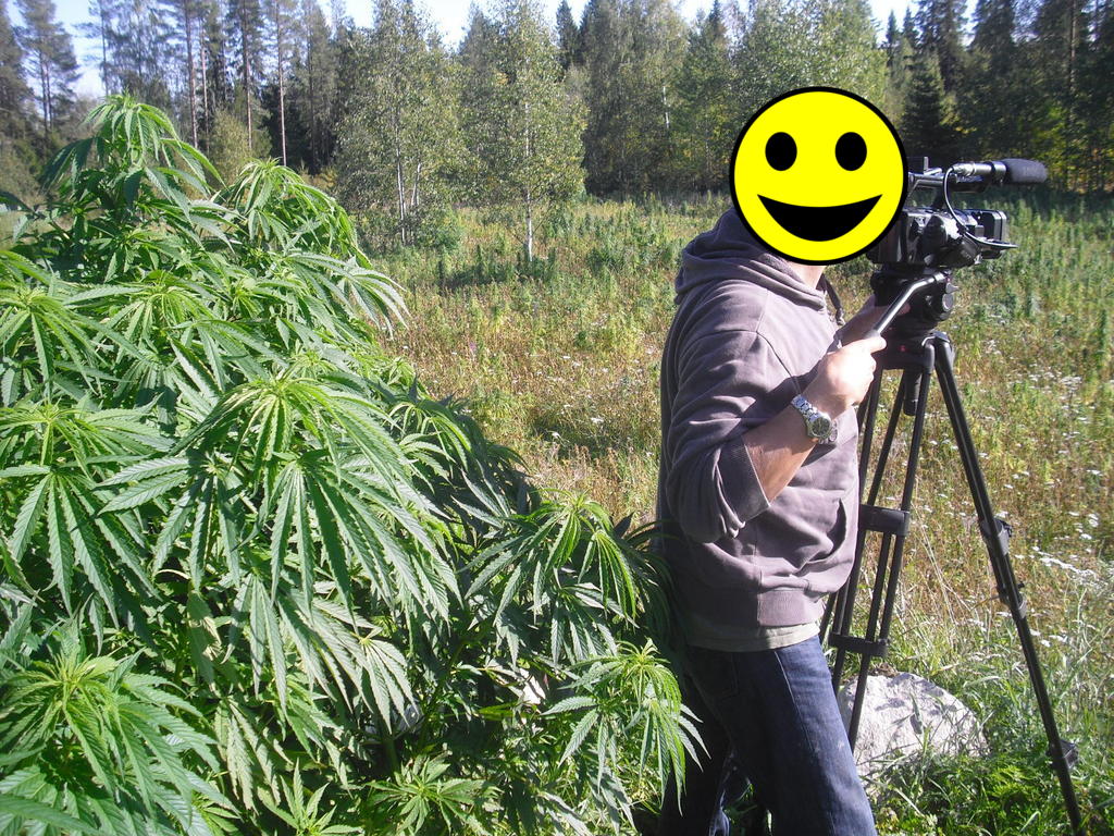 Message to Urbangrower,youtube;

http://www.youtube.com/inbox?to_users=urbangrower&action_compose=1

These plants in the following video were mine, Its not allmost even allowed to talk about cannabis in Finland and i growed about 8500 kg of cannabis at last year season. I'm going to make this as public as possible beause we have to change the situation and the laws in here and its not going to happen if some people does not shake the system.

This is Finnish news proadcasting video of my plantations of that usefull medicine plant:

http://www.youtube.com/watch?v=r2I3-Auwrv0

Keep up the good work, Urbangrower, lets make it legal in the hole world!