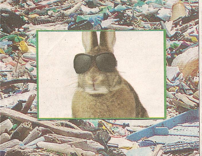 Junk yard Rambo



































a melkein uus... sill ei ollu paljoa ajettu... se oli mun jolla joskus pristelin vaihtelevalla menestyksell
sit oon miettiny ett jos kvis kortin ajamassa virossa... tosin m tartteisin opetustuntejaki
parkkeeraminen ruudukkoon ja peruutus ovat vaikeita... kyll m lujaa psen!
ei silleen pelota... mut tm hienost vaan on hukassa

rastan mys kannattaisi ajaa eu:n alueella voimassa oleva ajokortti tll, hintahan on murto-osa siit mit suomessa kortti maksaa

no niin on

jep
lydettisiinkhn kunnollista katunkym jossa vihre majatalo olisi nkyvill
siin on 6 vaiko 7 erillist majoitusta jos olen oiekin ymmrtnyt, ja vanha oluttupa samassa ja terassi siell pylviden pll
kunpa saisin homman pyrimn niin ostettaisiin se porukan majoitukseen

 no m meen kuiteskin nukkumaan tss... varmaan huomenna lhetn kymn jossakin sen sijaan ett mktetn kmpill

ok palataan it

tnnki oli mahtava ilma muttei tarpeeksi ajoissa keritty mihkn
jees it
Eilen

morjestaniist siemenist mit ois myynniss niin minkhnlaisista thc pitoisuuksista puhutaan?
kannabiskasvin siemeniss ei ole juurikaan THC:ta pitisuudet siemeniss ovt niin pieni ett ne ovat hankalasti mitattavissa. Kyseess on Puolan maaseudulla kasvava Cannabis Sativa, jonka kasvattaminen on Euroopan unioin alueella sallittua maataloustuotannossa, nit siemeni en voi lakiteknisist syist johtuen toimittaa istutus- kylv?..  Nyt kaikki

HUOM KUVATEKSTIN YLOSAhttp://forums.offipalsta.com/album.php?albumid=2114&pictureid=42232
Tnn

http://forums.offipalsta.com/album.php?albumid=2114&pictureid=42232

kuuntelin sen pasiradion haastattelun, ihan hyv

laitoin pasille viesti ett jos hn haluaa, niin ko. yli 50 - vuotias reumapotilas, jota olen auttanut antaa tarvittaessa haastattelun mys. Seurataan tilannetta. puolan siemenest olen lataamassa kuvia mutta on kestnyt yli tunnin jo vaikka kentt ihan hyvt ja prodigi-liittym.

hmmm kyll tulee takkusesti

nyt on albumi esill nkjn
testataako hetki minklaista o tehd tit yhsess, kun sinulle on hyv hetki
sisu ja gramofoni oli hyv nyte
oikein onnistunut etenkin kun aiheena oli radio varsova



nyt pitisi olla suljettu ryhm, jossa osakunnan osakkaile osallistumisen mukaan lhtisi skype-tyyppinen hlytys

siell ainaski suojatien merkki on samanlainen
juu skypen kautta aika hyvin onnistuis, silleen vois valvoa kuka psee kattoon... toisaalta jonkun pitis olla aina klikkailemassa kun joku haluaa kattoa

tai merkkini jossa halukas voi alkaa osallistumaan haluamansa osallistumistason mukaan, esim tuotantoalueille ohjaaviin sivuihin voisi menn linkki samaan aikaan
ja jossa peltoraportti niille jotka ovat valinneet sen osallistumisasteeseensa
ernlainen klikkaa paketti kokoon- tyyppinen ratkaisu

aivan

skypen kautta toimisi nettikamerakin, pelloilla hyvn kuvaan riitt yksi prepaid-nettitikku per kone/kamera joka puolestaan takaa toisista koneista riippumattoman yhteyden 

jep sit aattelin kans alkupersesti
skype on muutenkin ilmaisohjelma... ja mahdollistaa mys konferenssipuhelutki
videolhetyksell

web-kamera lhetysyksikk ja kuvallinen nettilhetys osakunnan osallistujien kesken voisi alkaa vaikka peltoraporttina tiettyihin aikoihin joista kertoville sivuille psee osallistumisensa mukaan
mietitn tt, testataanko tyntekoa, ilmoita milloin on hyv hetki niin laitetaan nyte ett ei tm hassumpi homma ole tykseenkn tehd
puolan strainhunters oli aika paha, no siement nyt on

loppuviikosta ois aikaa... tss alkuviikko taas jonku nkst haipakkaa

20:50
sivujen kanssa?
virlaisyhti tyllist ja hankkii ostopalveluja euroopassa, mys suomessa

ei sivujen kanssa oo vaan ku pit hoitaa taas nit "virallisia" tyttmyysasioita
[S]
Ilmianna  16:55
ps. mun broidi (joka tekee thn musat) hehkutti kun nki ksiksen, ett t tulee olemaan ihan parasta dokkaria mit on vhn aikaan nhty. ja sen pitki leffoja leikannut tyttystv komppas. no, katsotaan, mut hyv tulee ainakin!
[Sin]
Ilmianna  16:55
sisu parempana, siin on semmoinen kohta miss nukutaan aina siin laivan kansipaikalla penkill ja sisu on rinnan pll, olisi kyttis ja ei olisi paha vhn thyt siit laivalta, jos mahdollisuuksia on niin saan kyll blue one-hintaan lipun
[S]
Ilmianna  16:55
saa taas uskoa asiaan tommosista positiivisista kommenteista ammattilaisilta
eli sisulla ei ole nyt mitn ht? m oon miettiny sit aina, kun se on siin editiss jossain kuvassa
[Sin]
Ilmianna  16:56
nyt tss kuussa olen menossa viroon kylvmn, asian toteuttamista tulisi harkita jos se on mahdollista mutta muutenkin menee varmasti
hm, positiiviset kommentit ainakin omalta taholtani on ett olet selvsti tekemss suomalaista elokuvahistoriaa ja tiedt sen itsekin
ihan hyv ett satuttiin yksiin aikoinaan, aika huimaa ett tmn ksittely on vielkin kesken
[S]
Ilmianna  16:57
ainakin aiheen puolesta :):) kiitos tekijlle
niinp!
onko kkosta kuulunut? eip tietenkn?
[Sin]
Ilmianna  16:58
mutta lopputeksteihin sopisi esim. timo haara odottaa edelleeen korkeimman oikeuden mahdollista ptst asiassa ja kasvattaa kannabista tllkin hetkell useassa eu-maassa
[S]
Ilmianna  16:59
juu, semmoinen sinne on tulossa - tai mik tilanne nyt sit onkaan kun juttua editist ulos ajetaan
[Sin]
Ilmianna  17:02
erittin hyv, diggaan
!
ihan helvetin hyv on se loppukohtaus mielestni, hommahan on kuin elokuvista mutta elokuvistahan tm onkin
:-):-)
KO vuoden sisn ja hyvin pitklti ehk-pohjalta arvioitua asianajajalta
olisiko liikaa poliitikkojen ex-tyttystvi oikeutta hakemassa niin ei ehdi
[S]
Ilmianna  17:14
:):) oliko muuten ksityst siit esitutkintamatskusta? onko lupa kytt / julkaista?
[S]
Ilmianna  18:36
kohta vh pihakohtausta
[Sin]
Ilmianna  18:43
kaikki esitutkintamateriaali on kaikita osin julkista ja sit voi jukisesti esitt ilman minknaisia rajoituksia kuten tuleekin tehd, ne ovat olleet krjoikeuden istunnosta asti julkisia asiakirjoja jotka voi vaikka skannata nettiin kenen tahansa luettavaksi tai tuoda esiin mm. tv-ohjelmassa
[S]
Ilmianna  18:45
hyv homma. nin ajattelinkin. halusin vaan varmistaa. Tulee kuule hieno alotus leffaan. Ensin peltokuvaa ja tekstej ja sitten poliisin esitutkintamatskua. sitten mennn iisalmeen.
ja thn liittyen: tarviisin siis sen syytekirjelmn - en tuomiota. Sorry, mun virhe.
[Sin]
Ilmianna  18:46
erittin hyv, itse olen ajatellut samaan tapaan
nin se vaan menee, erittin hyv
[S]
Ilmianna  18:46
:):)
[Sin]
Ilmianna  18:46
ok onpa hyv ett mainitsit tuosta, syytekirjelm onkin paljon mehukkaampi
http://forums.offipalsta.com/album.php?albumid=1325&pictureid=24494
[S]
Ilmianna  18:47
joo. mulla on taas liian pitk piv takana :):)
[Sin]
Ilmianna  18:47
thn malliin on julkisia m
mm
ptkii
[S]
Ilmianna  18:48
onks se tossa?!
jez!
aa. tmmnen :D:D
[Sin]
Ilmianna  18:48
http://forums.offipalsta.com/album.php?albumid=1325&pictureid=24498
nuo ovat muutamia nytteit, teill on ne omat kappaleet mys, siell on niit puhelutallenteita kirjoitettuna?
[S]
Ilmianna  18:50
kokaiinin? :D:D
joo. niin on
ai, noinhan se olikin. kaikesta sua...
[Sin]
Ilmianna  18:50
http://forums.offipalsta.com/album.php?albumid=2829
tuohan on olennainen mys, liittyy suoraan vihren bonukseen
:-):-)
[S]
Ilmianna  18:51
mits toi kuitti edes oli?
[Sin]
Ilmianna  18:51
ja tottakai minulla on ollut hamppua m. autossa, sithn on jokapaikka aina tynn, siivosin vihre jeeppi eilen ja lytyi useampi kilo siement
[S]
Ilmianna  18:52
:D:D
no onhan sit hampunviljelijll
[Sin]
Ilmianna  18:52
todisteena hovi-ja krjoikeudessa siit mist hyllylaudat (joita olet kuvannut?) ovat todellisuudessa olleet kotoisin
ne savolan hyllyt
[S]
Ilmianna  18:53
huumekauppaa niill on rahoitettu! ja ptkitty kaaliin niit jotka ei maksa :D:D
[Sin]
Ilmianna  18:53
joosepin laudat olivat oksaisia eik siit oikein kauppoja tullut vaikka hamppu sinns tekisi juhalle hyv
:-D:-D
[S]
Ilmianna  18:53
:):)
[Sin]
Ilmianna  18:54
vanhaselle mailaa polveen varoittavana esimerkkin ja itse saa maksaa hoitokulut, onhan mailakin puuta jos ei ole alumiinimaila
[S]
Ilmianna  18:54
muista ett pit olla tuppeen sahattu maila :):)
[Sin]
Ilmianna  18:55
ja jos joku vhnkn valittaisi nkemyksest niin olen valmis itse ottamaan mailaa polveen jos vhnkn aihetta ilmenee koska vaan jos olisin vastaavan tyyppisiss tehtviss, kyseinen toimintamalli olisi puolestaan kansalaisvelvollisuus
:-D:-D
karhu junior kiddy, nopea ja npskk - ei oksankohtia heikentmss erinomaista rakennetta
[S]
Ilmianna  18:56
joo. kattelin just sun haastattelua, jossa sama nkemys
[Sin]
Ilmianna  18:58
tulen ikuisesti olemaan samaa mielt, kansan velvollisuus on nousta epptevi pttjin ja johtajiaan vastaan
[S]
Ilmianna  18:59
kyll
[Sin]
Ilmianna  18:59
hieman kuin muinaisessa feodaaliajan japanissa joka on muuten ollut kaikkien aikojen toimivin yhteiskuntamalli kunnes kapteeni Peary psi perille tokionlahdelle mustilla hyrylaivoillaan ja kansan heikentyminen alkoi koska japani alkoi saada vaikutteita lnsimaista epkelvommista roduista ja kulttuurista
feodaaliajan japani on 
osoittautunut toimivimmaksi, oli ollut vhiten trttilyj kuulemma
ja kaikki olivat hyvksyneet asian ett ns. ylempiarvoinen joutuu tekemn seppukun eli ns. itsemurhan jos mokaa tarpeeksi huolella, thn verrattuna kevyt napautus nivelkapseliin on nallekerhon touhua
tss on mys mielestni sanomaa, nin sen kuuluisi olla suomessakin ja nykynkin http://fi.wikipedia.org/wiki/Damokles
[S]
Ilmianna  19:05
moi, sorry, tyttreni soitti... juu, toi itsemurhakulttuuri/kunniakulttuuri on jnn. Demokleen miekka pn plle vaan, kyll.
[Sin]
Ilmianna  19:06
etk psisi esim p;n  tai jonkun edustajan kanssa tnne viikonlopuksi tn kesn niin tuumattaisiin kaikessa rauhassa nit nauhoite- ja tallenneasioita, onneksi saan ihan lhiaikoina tiimiin henkiln joka osaa skannata ja lhett noita keskusteluja niin voi tuoda esille mit itse pidn olennaisena, luulen kyll ett olemme samoilla linjoilla
kunnia tai kuolema, that rocks
[S]
Ilmianna  19:07
kyllhn me sinne keritn jossain vliss. otetaan tll kertaa ihan iisisti vaan. loman kannalta :):)
[Sin]
Ilmianna  19:07
juuri nin!
:-)
[S]
Ilmianna  19:08
sauna, oluset ja kesilta-aurinko
[Sin]
Ilmianna  19:08
no juuri nin!
[S]
Ilmianna  19:08
ns. kesmeno
[Sin]
Ilmianna  19:08
asun muuten nyt tss ylkerrassa, on 51 m2 josta tosin suuri osa kytv kylppri ja keittit
[S]
Ilmianna  19:09
kuis nin muutit?
[Sin]
Ilmianna  19:09
sain tmn isomman kun kunnanjohtaja oikein ehdotti, soitti viroon ja oli oikein mukavana
[S]
Ilmianna  19:09
t? onko sama mies viel?
[Sin]
Ilmianna  19:10
2 v ja j elkkeelle, saisi tulla ns. pormestarimalli tnnekin sen jlkeen koska olisi toimivampi kunnan edushenkil valittaessa. jep, sama rakennus, ylkerran ikkunat
http://forums.offipalsta.com/album.php?albumid=1151&pictureid=39252
takaterassi kytss kokonaan grilleineen jos saan ensin lautaa jostakin ett voin laittaa puukannen lissiipeen, nkyy kuvassa oikealla
saunan kattoon kohdistuu muuten liikaa pistepainoa
tm ylkerta on kyll hyv
[S]
Ilmianna  19:12
kuulostaa hyvlt! onnea uuteen kotiin!
[Sin]
Ilmianna  19:13
samanlainen tm on kuin alakerta, siirsin tavarat saman huoneratkaisun mukaisesti samoille paikoilleen mutta muutamia rojuja mahtui lis
http://www.facebook.com/permalink.php?story_fbid=1802685318838&id=1591010549&ref=notif&notif_t=like#!/photo.php?fbid=405555907204&set=t.1591010549&theater
panda-asian voisi nostaa esille, nehn ovat siell tuhoamistuomion alla koko ajan
hamppurouheeni on laillinen tuote EU:ssa ja sit niiss oli silytyksess
[S]
Ilmianna  19:14
katotaan, sano lkri. panda nkyy ainakin kuvissa. vhintnkin sispiiri tiet mist on kyse ;);)
kohta tulee pieni videoklippi taas tnne kasvukausiryhmn
aivan. pitis rouheen olla!
kerroinko, ett kyselin vihdin apteekista hamppuljykapseleita. olisit nhny sen epilevn ilmeen sen vanhemman reviisorin naamalla (nainen). :):)
[Sin]
Ilmianna  19:16
ja nyt koska ovat alioikeuden mielest rikoksentekovlineit kuten antiikkikirstutkin ovat menossa ekokemille jos korkein oikeus niin ptt eli ei muuttaisi alioikeuden ptst, oli aika unreal kun ne olivat siell iisalmen krjill tuomarin pydll ja tuijottivat sielt
[S]
Ilmianna  19:16
mut siis pandoja ei oo viel kukaan ennen aikojaan (siis ennen tuomiota) tuhonnu?
[Sin]
Ilmianna  19:17
kirstua sain nuuhkaista ja aromi oli hyv, hyv teet tulisi joka tulee olemaan pullotettuna ja muutenkin myytyn menestystuote koska on jo sit muualla euroopassa
KO ptt, ei tied viel, itse ehdotin jo krjill sijoituspaikaksi rikosmuseon kellaria jos ei esille kerran voi laittaa
veronmaksajat joutuvat maksamaan nuokin tuhoamiskulut jos niin ky
[S]
Ilmianna  19:19
siell olis sun pandat rannanjrven kahleiden kanssa samassa kopissa :D:D
[Sin]
Ilmianna  19:19
:-D:-D
[S]
Ilmianna  19:19
pallo jalkaan pandalle
[Sin]
Ilmianna  19:19
dont kill panda, its fucking brutal
:-):-)
[S]
Ilmianna  19:20
t-paidaksi :):)
[Sin]
Ilmianna  19:20
jepa


moi!

ens viikolle suunniteltiin lahtoa
18:48Min

ok, auto on hieno

:-):-)

pakko mainita
18:48Heta

.)
18:48Min

kuvaus muuten huomenna tll keiteleell

ylpelto on tuhottu jlleen
18:49Heta

HAAA

ai se mis oli "hirvi"
18:49Min

ei tule tlt kes en muuta kuin kynnskuvia sieltpin
18:49Heta

.(

mika kuvaus huomenna
18:50Min

nelin palan olivat ottaneet iisalmen phelt poliisit, ammattitaidottomat
18:50Heta

haha ok. no mita siita voi odottaa
18:50Min

tv-dokumentti, jt toytsi parkkiin ota juna ja tule kuvaamaan kuvauksia

:-):-)

paska juttu meni hyvi geenej taasen hukkaan
18:51Heta

aijai, olispa hurja mut en kyl mitenkaan pysty

on onkylla
18:51Min

kuva, josta ilmoitin tykkvni on muuten juuri tuolta pellolta, no on kyll hyv ett sielt on otettu hyvi kuvia

:-):-)

:-):-)
18:52Heta

no on kylla
18:52Min

todella hyv, ett esim. voi todistaa pellon olleen olemassa, eik vain?
18:52Heta

no tietenki
18:52Min

joku saisi maksaa vahingon
18:52Heta

niimpa
18:52Min

laskeskelin, ett jo pelkk tee olisi ollut kokemuspohjaan perustuen n. 5000-6000euroa
18:53Heta

huaah
18:53Min

kyll sit silti tulee, esim. savolan pihahan on viel ihan tynn

huomenna kuvausryhm tll kumminkin, tytyy keskitty, taidan soittaa poliisille kun ovat tll

nin meinasin
18:54Heta

joo, olis tosi hyva
18:54Min

tarvitsen selvityksen thn asiaan
18:54Heta

voisit tehda rikosilmoituksen omaisuuden tuhoamisesta ja pyydat ne paikalle tutkimaan
18:54Min

jep esim juuri nin
18:54Heta

koko suomi tarvitsee, ala sita unohda
18:54Min

jep!
18:55Heta

taalla helsingissaki jengi niin peloteltua et kriminalisoivat itse itsesnsa!
18:55Min

katsotaan, mit tuleman pit, vitn ett asiassa on jo tullut muutos, mutta tietoisuus siit ei ole viel riittvll tasolla
18:56Heta

nain toivon myos

ootko miettiny ulkomailla kayntia
18:57Min

pitisi saada kaikessa rauhassa jossakin keskusteluohjelmassa purkittaa tm homma lpi, mutta suomi ei uskalla keskustella - keskustelun aika tulee viimeistn kunhan asiani julkistetaan, ernlainen lautakauppa-gatehan tmkin on ollut

tm ko. tv-porukka seuraa juuri tt kokonaisuutta
18:57Heta

haha niin on. ja ajallaan kaikki, mutta hyvin pian
18:57Min

heill on kyll varmasti aika hyvt nauhat

:-):-)
18:57Heta

ononon
18:59Min

muutos on tuotava tietoisuuteen, en muuten ole varsinainen narsisti, mutta pakko on kysy tunsiko ne grafititaitelijat esim. haarantimmppaa, minulla on kyll paljon kavereita siell, varsinkin it-helsingiss

needs some ghettoblast, the hole area
18:59Heta

haha indeed
18:59Min

helsinki on suttautunut hieman kymmeness vuodessa
18:59Heta

tiesivat osa jutun, mut edelleenki siin uskos, et oisit menos linnaan

oli kiva muuttaa kasityksia

taidolla tehty on kulttuuria

suttu on suttu
19:00Min

hmm jaa vanhaa tietoa, no eihn sit tied viel
19:00Heta

niin kylla. mutta kuitenki asiat rullaa eteenpain!
19:01Min

tuskin tulee linnaa ko:n jlkeen, tm on 375gramman luovutus sairaalle henkillle
19:01Heta

nii
19:01Min

"voin vihdoin hoitaa tytni"- helpottunut haara kertoo
19:01Heta

odotas hetki

kayn jeesaan serkkuu jossain
19:12Heta

kitaran viritys hommia..
20:25Heta

heii!

ootko viel himas?
20:26Min

jep mutta kohta kiire
20:26Heta

voinko jakaa ton urbancityboyn linkin?
20:27Min

hmmm
20:28Heta

mut sullaki tos nakyy koko keskustelu

"tasta ei saa viela mainita.."
20:28Min

annetaan olla viel kohtuu pienelln, siell on kumminkin koko stoori julkisena mm. kuvateksteiss, ihan niinkuin tmkin teksti voi vaikka menn; tm on juuri PLANTAASI24

:-):-)

ideani on, ett kaikki suorana nettiin vaan niin ei j epselv, ett mit on puuhattu, tm on laillista tytni jota koitan hoitaa
20:29Heta

no toi keskustelu kuiten nakyy tos nyt kaikille
20:29Min

niinp juuri
20:30Heta

jepjep, mut hassulta tuntuu lukee et tasta ei saa mainita?
20:30Min

sen saatan ottaa jossain vaiheessa pois etusivulta, mutta ei nuo muut mihinkn lhde koska en niin halua, kannattaisi teett varmuuskopio ko. albumeista teksteineen

tm iknkuin menee ns.toisen asteen kautta, vaikea selvitt
20:31Heta

oon miettinykki kovalevyn ostua..
20:31Min

mutta otan esimerkin:
20:31Heta

ok
20:31Min

kopioin tekstin juuri nihin albumeihin ensin, ettei se hvi

siis nihin


Heta

moi!

ens viikolle suunniteltiin lahtoa
18:48Min

ok, auto on hieno

:-):-)

pakko mainita
18:48Heta

.)
18:48Min

kuvaus muuten huomenna tll keiteleell

ylpelto on tuhottu jlleen
18:49Heta

HAAA

ai se mis oli "hirvi"
18:49Min

ei tule tlt kes en muuta kuin kynnskuvia sieltpin
18:49Heta

.(

mika kuvaus huomenna
18:50Min

nelin palan olivat ottaneet iisalmen phelt poliisit, ammattitaidottomat
18:50Heta

haha ok. no mita siita voi odottaa
18:50Min

tv-dokumentti, jt toytsi parkkiin ota juna ja tule kuvaamaan kuvauksia

:-):-)

paska juttu meni hyvi geenej taasen hukkaan
18:51Heta

aijai, olispa hurja mut en kyl mitenkaan pysty

on onkylla
18:51Min

kuva, josta ilmoitin tykkvni on muuten juuri tuolta pellolta, no on kyll hyv ett sielt on otettu hyvi kuvia

:-):-)

:-):-)
18:52Heta

no on kylla
18:52Min

todella hyv, ett esim. voi todistaa pellon olleen olemassa, eik vain?
18:52Heta

no tietenki
18:52Min

joku saisi maksaa vahingon
18:52Heta

niimpa
18:52Min

laskeskelin, ett jo pelkk tee olisi ollut kokemuspohjaan perustuen n. 5000-6000euroa
18:53Heta

huaah
18:53Min

kyll sit silti tulee, esim. savolan pihahan on viel ihan tynn

huomenna kuvausryhm tll kumminkin, tytyy keskitty, taidan soittaa poliisille kun ovat tll

nin meinasin
18:54Heta

joo, olis tosi hyva
18:54Min

tarvitsen selvityksen thn asiaan
18:54Heta

voisit tehda rikosilmoituksen omaisuuden tuhoamisesta ja pyydat ne paikalle tutkimaan
18:54Min

jep esim juuri nin
18:54Heta

koko suomi tarvitsee, ala sita unohda
18:54Min

jep!
18:55Heta

taalla helsingissaki jengi niin peloteltua et kriminalisoivat itse itsesnsa!
18:55Min

katsotaan, mit tuleman pit, vitn ett asiassa on jo tullut muutos, mutta tietoisuus siit ei ole viel riittvll tasolla
18:56Heta

nain toivon myos

ootko miettiny ulkomailla kayntia
18:57Min

pitisi saada kaikessa rauhassa jossakin keskusteluohjelmassa purkittaa tm homma lpi, mutta suomi ei uskalla keskustella - keskustelun aika tulee viimeistn kunhan asiani julkistetaan, ernlainen lautakauppa-gatehan tmkin on ollut

tm ko. tv-porukka seuraa juuri tt kokonaisuutta
18:57Heta

haha niin on. ja ajallaan kaikki, mutta hyvin pian
18:57Min

heill on kyll varmasti aika hyvt nauhat

:-):-)
18:57Heta

ononon
18:59Min

muutos on tuotava tietoisuuteen, en muuten ole varsinainen narsisti, mutta pakko on kysy tunsiko ne grafititaitelijat esim. haarantimmppaa, minulla on kyll paljon kavereita siell, varsinkin it-helsingiss

needs some ghettoblast, the hole area
18:59Heta

haha indeed
18:59Min

helsinki on suttautunut hieman kymmeness vuodessa
18:59Heta

tiesivat osa jutun, mut edelleenki siin uskos, et oisit menos linnaan

oli kiva muuttaa kasityksia

taidolla tehty on kulttuuria

suttu on suttu
19:00Min

hmm jaa vanhaa tietoa, no eihn sit tied viel
19:00Heta

niin kylla. mutta kuitenki asiat rullaa eteenpain!
19:01Min

tuskin tulee linnaa ko:n jlkeen, tm on 375gramman luovutus sairaalle henkillle
19:01Heta

nii
19:01Min

"voin vihdoin hoitaa tytni"- helpottunut haara kertoo
19:01Heta

odotas hetki

kayn jeesaan serkkuu jossain
19:12Heta

kitaran viritys hommia..
20:25Heta

heii!

ootko viel himas?
20:26Min

jep mutta kohta kiire
20:26Heta

voinko jakaa ton urbancityboyn linkin?
20:27Min

hmmm
20:28Heta

mut sullaki tos nakyy koko keskustelu

"tasta ei saa viela mainita.."
20:28Min

annetaan olla viel kohtuu pienelln, siell on kumminkin koko stoori julkisena mm. kuvateksteiss, ihan niinkuin tmkin teksti voi vaikka menn; tm on juuri PLANTAASI24

:-):-)

ideani on, ett kaikki suorana nettiin vaan niin ei j epselv, ett mit on puuhattu, tm on laillista tytni jota koitan hoitaa
20:29Heta

no toi keskustelu kuiten nakyy tos nyt kaikille
20:29Min

niinp juuri
20:30Heta

jepjep, mut hassulta tuntuu lukee et tasta ei saa mainita?
20:30Min

sen saatan ottaa jossain vaiheessa pois etusivulta, mutta ei nuo muut mihinkn lhde koska en niin halua, kannattaisi teett varmuuskopio ko. albumeista teksteineen

tm iknkuin menee ns.toisen asteen kautta, vaikea selvitt
20:31Heta

oon miettinykki kovalevyn ostua..
20:31Min

mutta otan esimerkin:
20:31Heta

ok
20:31Min

kopioin tekstin juuri nihin albumeihin ensin, ettei se hvi

siis nihin
20:32Heta

joo, onks sulla viela se pikku mu

istitikku
20:33Min

jep, lompakossa
20:33Heta

paa siihen ni on erillaan koneista
20:35Heta on poissa.
20:46Min

noniin, tm nkyy nyt vasta viel meille, tm on periaatteessa plantaasi24:n (lhet viestin)