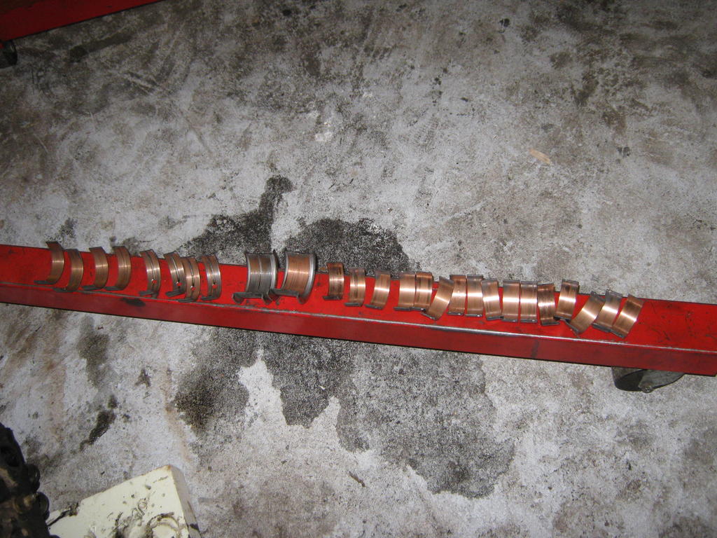 jooppi ja tallii 008