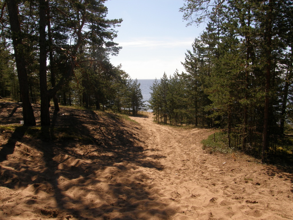 ladoga trophy 2010 066