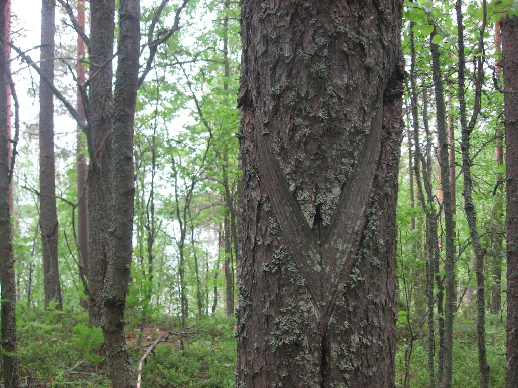 v-niinku...muistatteko