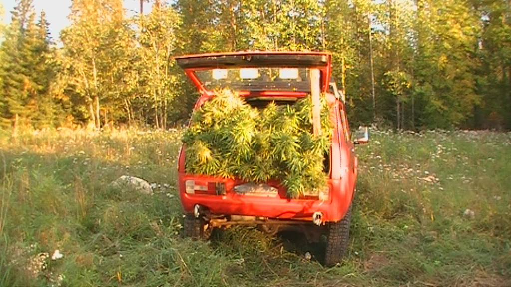 vlcsnap 2010 09 18 00h06m24s244


ja ydinvoioma yleens, aiheitahan olisi vaikka kuinka
voimme vaikuttaa historian kulkuun niin halutessamme, mikli oma asiani ja siihen liittyv dokumentointi esim julkaistaisiin niin olen aivan varma ett tuo 50.000 nt esim aiheen parissa olevien kotisivujen yhteydess voidaan kert
mutta omat resurssini ovat rajalliset kun kaikki aika menee suomen laittomien toimien vastustamiseen
siell on muutama aktiivinen henkil, joiden kanssa asiasta voitaisiin keskustella

kyll se 50 000 lytyy nopeasti jos on toiveita ett se todella vaikuttaa asioihin

heille olen maininnut omavaltaisesti aktiiveista puhuttaessa sinut, mys sin teet trke tyt josta ei kukaan palkkaa ole maksanut kuten ei kenellekn meille

eihn se ole kuin yksi prosentti viidest miljoonasta

olen samaa mielt
ninp, ja jos kysytn realistista arvioita kannabiksen viihdekytnkin sek -kasvatuksen laillistamiseen niin 50.000 ei riit

500 tuhattakaan ei taida riitt

miljoonakin on kohtalaisen varovainen arvio, koko ns. suorempi polvi ainakin hyvksyy asian ja osaa ajatella aihett jrjell, ei propagandalla tai tunteella

kyll joka kymmenes suomalainen kytt tai kasvattaa

kytn Sisun ulkona, lissabonin sopimuksen tarjoamaan mahdollisuuteen kannattaisi nyt alkaa tutustumaan mikli haluamme muutoksen asiassa, se olisi paljon tehokkaampi mahdollisuus ja toimivampi kuin esim. radikaalimarssit koska eivt poliitikot aiemminkaan ole asiasta mitn vlittneet
palaamme pian

nihin tunnelmiin ja lippu korkealle

tekstin alkuosa jossa trket antamasi tiedot turvapaikan hakemisajoista on jo hvinnyt, pyydn, voitko laittaa ko. informaation uudestaan koska se on erittin trke

10:19
se lytyy wikipediasta tlt http://fi.wikipedia.org/wiki/Turvapaikanhakija
Turvapaikka merkitsee nykypoliittisessa kieless lupaa jd maahan alkuperisen kotialueen vaarallisuuden tai siell esiintyvien vainojen takia.
http://fi.wikipedia.org/wiki/Turvapaikka
eesti keel http://et.wikipedia.org/wiki/Poliitiline_varjupaik



Tnn

Hellou Timo!! Oletko viel naapurimaassa?

joub, tss asunnolla lihulan keskustassa koneella pohjatit olen tehnyt maanantaita varten
http://www.suomitv.fi/ohjelmat/anja_snellman_saanko_esitella

Miss on Lihula? Maantieto ei ole mun vahva puoli 

tm eestin paikallinen keitele sijaitsee erinomaisten kulkuyhteyksien varrella n. 100 km tallinnasta saarenmaan reitti koden, vrtsun satama ja lauttareitti on tuossa ihan vieress
kyl tytt 800 vuotta ensi vuonna

All sprite! Tuleeko ohjelma ulos koska? Tytynee katsoa... Onko Sipa nauttinut Eestiss olosta 

olen tyytyvinen paikkaan, tsthn on jo julkisuudessakin tll ollut, ktsitko tuon kanal2n reporterin muuten jossatll eestin tvss juuri olin

En ole katsonut, tytyy siis sekin katsoa! Nnk sen netin kautta? M olen niss asioissa niin tolopio..

sipa todella tyytyvinen koska saa temmelt tuolla kaneppipelloilla vapaanma ja muiden seassa hevosrantsilla jossa mm. 200ha potentiaalista kanepmaata ja 78 hevosta
mutta lmp on sipalla ollut ja onko se sitten vhn kipe, huonolla ruoalla ollaan molemmat oltu koska mm. suomen paska valtio aiheutti taloudellisesti tysin kestmttmn tilanteen
laitan linkkej joita voi ohessa katsella, suoraan omaan elmni psee nkjn aika ktevsti tlt netist

Wau, kuulostaa melekosen ihanalta.. Sipa on onnenpekka.. Ootko siell yksin, vai tlt kavereita mukana? Aiotko jd sinne pysyvsti? Prjttek te siell?

kanal2 teki huippukatsojaluvut jutulla tuolta rantsilta
hmm odotas
kyll me prjtn, mit nyt kieltmtt vhn masentaa kun opiaattiministeri paula risikko joka mm kannabiksen saatavuuteen lkkeen voisi vaikuttaa ei ollut kiinnostunut tulemaan tuohon maanantain ohjelmaan
ai kun hvitt hienosti kaiken vlill mit kirjoitan

Eip tietenkn.. Niill kun ei ole sit selkrankaa.. Varmasti siit syyst,ettei heill ole esitt perusteluita asenteilleen tms. Pidt vaan lipun korkealla, kyll se siit. Saatko mitn korvauksia valtiolta?

odotas, tuolla pidn kaneppeltojani, paikan omistaja on mahtava tyyppi ja mm. eestin tunnetuin eestin tyhevosten kasvattaja
-linkki-

Ei tullut mitn linkki?

http://www.youtube.com/watch?v=P1CYgyECczI&feature=related
tuossa yksi paikan esittelyvideo
tuossa aika hyv toinen mielestnihttp://www.youtube.com/watch?v=FsVDP0wbhfY
tuossa kanal2:n ohjelma jolla oli katsojaluvut tll kohdallaanhttp://www.reporter.ee/2010/09/27/laanemaal-laiuv-kanepipold-andis-lopsaka-sugisloikuse/
lupsakat pllut

Ihan mieletn mesta.. M katon nyt ton kanal2 ohjelman

vaik soomes on kanepin kasvattaja kurjatekija, on hn eestiss arvostetud pllumees joka antab rahvaalle tn ja leivan
periaatteesta tuosta ymmrt kyll aika hyvni tuostsa eestin kielest

En nyt menis sanomaan 

anna palautetta, mielipiteesi on minulle trke koska se on mielipide jota arvostan, jrki-ihmisi kun olet this is true
ande tuli hienosti julkisuuteen tuossa kanepasiassa, kannattamaan asiaa, hn on virossa jo entuudestaan julkisuuden henkil joten lhtkohdat mielenkiintoiset
x on poissa.

itsekseen tll sipan kanssa lihulan keskustassa on tm asunto
x on paikalla.

poliisiasema tuossa 7 metrin pss
hyv sijainti, rauhallinen paikka
n. 50.m2 siisti kalustettu 2h ja erillinen keitti, vuokra 400eek+200eek yhtinvastike eli about 50 eke kuussa
ei paha, vai mit

tllp saa omakotitalon jo muutamalla tonnilla, ne jotka ovat kyneet tutustumassa ovat ihmetelleet mik aarreaitta kaupunkiyhteyksi, merimaisemaa ja edullista asumista arvostavalle

Ei todellakaan paha! Aloin katsoo sit kanal:n uutisia, vaikuttaa oikein asialliselta ja Sipakin on niin edustava 

jepa, kiitos!
sisulta ja timolta mys

!
aika jnn, jos ajattelee esim ett toimintni ei ylit kuulemma uutiskynnyst suomessa vaikka kaneppipeltoni on eestin katsotuimpia uutisia ja viljelin nuo pellot kun olin mm vankilaanpassituksen alla ja luonnollisesti maastapoistumiskiellossa suomessa samaan aikaan
haloo suomi, jttilohi enontekill oli keskiaukeamalla ja jotkut tysin epolennaiset jutut olisihan tuon voinut mainita vaikka otsikolla bsurdi tilanne
mietin vaan mitk kulut sstyisivt kun ylittisi uutiskynnyksen suomessakin

Oli hyv juttu, asiallinen ilman jeesusteluja. Eestin kielest on kyl oikein ottanut selv.. Suomi on suomi ja kaksinaismoralistinen maa, joka jnyt ajoille yks ja kaks.. Jttilohi tulee olemaan ykksotsikko "tanssii thtien kanssa" ohjelman kera pitkn ja hartaasti 

huomattaisiin mm ett yksi ihminen on aiheuttanut yhteiskunnalle miljoonan euron kulut joille ei loppus ny
siis loppua ainakaan viel
juuri oli turkulainen viljelij jonka toimista olen ottanut mallia oikeudessa hn vastaan suomen valtio 4800 kannabiskasvin tuhoamisesta, krjoikeus ptti ett vaikka kyseess oli olleet saman tyyppiset kasvit kuin itsellnkin eli matalan thc-pitoisuuden omaavat ja vaikka ko. juttu oli kaatunut jo syyteharkintaan niin ei kuulemma tarvitse maksaa valtion kasveja (lhet viestin)
Keskusteluviestisi ei lhetetty, koska      on offline-tilassa.
    on poissa.
01:08
tuo tarkoittaa sit ett voi kaataa vaikka naapurin metst joutumatta korvausvelvollisuuteen, tai knt toisen pihanurmikon (lhet viestin)
Keskusteluviestisi ei lhetetty, koska     on offline-tilassa.
ja mys sit, ett kun viljelij hakee kumoavan ptksen eu:sta niin kalliiksi tulee ne kulut jotka prosessista aiheutuu (lhet viestin)
Keskusteluviestisi ei lhetetty, koska      on offline-tilassa.
olen todella pettynyt maahan, jossa esi-isni ovat satoja vuosia asuneet (lhet viestin)
Keskusteluviestisi ei lhetetty, koska     on offline-tilassa.

kas nykii taas


Yes sir, we have the plant cut 1



n
22:52
miljoona meni veronmaksajien rahoja ja vastineena nuo sergen 2 stk ja reumapotilaan elmnlaadun vaarantaminen
timon talouden tuhoaminen
tasan tarkkaan otan peltokorvaukset, ai ett oikein odotan ett miten jrjestelm mhl jos ei suomen rajojen sisll osata asiaa jrkevsti kerralla ratkaista
mithn mahtaa asian selvittely tulla eu:ssa maksamaan, onkin nyt sitten kerrankin hyty ett olen mm poliisin laittomien tutkintatoimien seurauksena varaton ja mm saan ilmaisen oikeudenkynnin

suomelle tulee todella huolella loimeen eu:lta jos tm sinne tarvitsee viel vied
100 000e hyv jos riitt, maksajina jlleen suomalaiset veronmaksajat
ei ole minun vikani jos joudun laillisen omaisuuteni pern kyselemn
hommaan mennyt jo omakotitalon hinta, keiteleelt jamm. tlthn saa jo hulppean omakotitalon tuolla rahalla
romurautahommasta varattu budjetti ei riittnytkn, nyt ei omaisuutta en ole varaa myyd kun ei olisi ollut sit varaa aiemminkaan tehd, kaipaan suuresti mm. reissuautoamme http://forums.offipalsta.com/album.php?albumid=1146&pictureid=39330
ongelmajte61, tuo tulee viel takaisin jos elon pivt suo
tuollahan on tuo tilanne muutenkin, ernlainen reality tosiaan koska kuvat elvst elmsthttp://forums.offipalsta.com/album.php?albumid=3383&pictureid=67439

whd U say


free the seed
.

seed is free!
yes sir, we have the plant!
11.pv on se suomeen tulo, ehk otan akun mersun ja tulen sill landella kymn, tavoitanki sinut sielt pin?

http://www.youtube.com/watch?v=nGsEt-qtOqs

nyt pit pit puhelimia auki, soitan heti kun olen suomen puolella

tomorrow id get m fhone
.

sokos hotelli pasilasta on ohjelmayhti varannut huoneen ohjlemaillaksi, olen siell yksikseni, tuon voi vlitt mys eteenpin 

den we can dalk
koska?
what?
d?

ahaa nyt hoksaan miksi en ole saanut kiinni miest mistn, mietin ett jo ett ei kai ole saanut shkiskua muuntajaa kytkiessn
su ilta olisi oltava viimeistn laivassa

en muunna kytkimi.



ok den

vaan kytket muuntajia

erittin huolellisesti ja shkturvallisesti, de facto

dem right

niin se vaan menee, tll olisi euroopan ja ehk koko maailman huippuosaaminen olemassa kun vaan tekemn ruvetaan, mennn lain puitteissa

peace out, time to relax...

esim suomessa on erittin todennkist ett esim alle huumausaineena pidettvn pitoisuuden omaavaa cannabis sativaa saa tuottaa vaikka leivonnaisiksi tai ernlaiseksi oluen korvikkeeksi jo nyt jo voimassa olevan lain puitteissa

palataan aamulla
juuri nin

ok dnt blame ya, varovaisesti sen havaijin ruusun kanssa siell


18 nmenny tnn, ei lis...
nicht!

hei se on su-ma niin soi puhelin ja olisi minulle trke ett jos ehdit hetken rupatella niin se mesejuttu tuumataan mm

nhdn!
silloin

guten nacht, speksit kasassa nin se hyv palaveri pidetn!

yeah, HIGH!

su -ma ja ma yn hotelli pasilassa jos joku haluaa keksi hieman vshtneelle hampunkasvattajalle kytt, siit sitten jatkosuunnitelma ja tapaaminen pullatarpeiden parissa, siemenen erottelu
thanks bro, jatketaan!
harvoin on ollut rastalla noin tujut

siin viel viimeiset, hyv yt hyv ystvni ja hyvi fiiliksihttp://forums.offipalsta.com/album.php?albumid=3383&pictureid=67434

Yes sir, we have the plant!