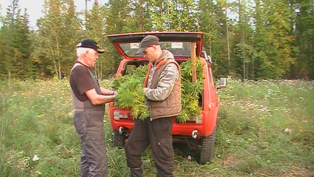 vlcsnap 2010 09 18 00h07m00s140


jommankumman kirjoittama mietelm

1 liitetiedosto

Eilen
[Sin]
Ilmianna  19:17

SK

nyt taustat ovat kohdallaan, tm visuaalinen ilme on ollut juuri itsellkin mieless
mutta nkyy joidenkin kirjainten tilalla jotain outoja symboleita
nyt sitten visioitavaa: ents jos nettiin siirrettisiin ernlainen Real-life Pot Farm runned by Haara?
hanketta saa sponssata oikealla kahisevalla, ja voi seurata mit sill saa

summilla tehdn hankintoja jotka auttavat laajentamaan tuotantoa.

huhutaan suomalaissijoittajan jo laittaneen summan norjalaisen huippuauran rahoitukseen jolla maita kuulemma on jo knnetty kannabiksen kasvattamiseksi thtimen Eestin mittakaavan teollinen suurtuotanto jossa edellkvijn toimii Suomen tunnetuin hampunviljelij Haara tiimins kanssa, kaikki nm hankinnat ovat tulossa esille ja julkiseksi internetiin, Osakunnan jsenyydet thn toimintaan ovat nyt jaossa.

Osakkuuden kasvimaatoiminnan kannatuksesta ottaneet ja sijoittaneet mahdollistavat sen ett tuotannon toteuttamiseksi voidaan  hankkia  tarvikkeita ym. aivan kuten pot farmissakin

Kaikki toimintaan liittyv materiaali tullaan laittamaan internetiin jo epselvyyksien vlttmiseksikin, poimintoja tuotantokaudesta voi seurata sivuilta kuten suoraa peltolhetystkin sek kasvien kasvua kasvukaudella

osakkaita otetaan tietty mr, loppukohteena on oma kasvimaa virossa, jossa voi kasvattaa suositeltuja rekisterityj lajikkeita joita Haara jokatapauksessa muutenkin jo tuottaa mutta haluaa laajentaa toimintaa johon kannatus antaa mahdollisuuden.

Osakas voi seurata suorana netin kautta toiminnan kehittymist, samalla saa edut hevos- ja maasturisafareille sek kulkupassin omalle palstalle henkilkohtaisesti suomen laitonta tuomiota paossa olevan cannabisviljelij Timo Haaran seurassa

ja on sijoittamalla jo maksanut osan kasvimaan tuotosta, jokainen voi saada halutessaan oman kasvimaan jota haara lupautuu sopimuksen mukaisesti hoitamaan jo jolle tulevat omat seurantasivut internetiin ja jota psee seuraamaan ottamansa osakkuuden mukaan.

Viesti on liian pitk.

joten kuulostaako hyvlt? en Nyt kaikki
1 liitetiedosto
[M]
Ilmianna  19:28
http://www.suomenkannabis.fi/kannabiksesta.html... laitoin huvikseni tuonne tuommosen... hyvksyk tai hylktte... aattelin kirjotella jotain aikani kuluksi. Jos ei oo ookoo tilalle voi laittaa jommankumman kirjoittama mietelmn
1 liitetiedosto
Eilen
[Sin]
Loppukohteena on osakunnan oma ykstyisklubiosakkuus sek tilat Eestiss sek Suomessa, plantaasiristeily jonka voi osaltaan rahoittaa toimintaa tukemalla sek mys oma kasvimaa virossa, jossa voi kasvattaa suositeltuja rekisterityj ja rekisteritvi lajikkeita joista osa voidaan nimet oman suosituksen mukaan
ja jota voi seurata suorana netin kautta kun on osakas, samalla saa edut hevos- ja maasturisafareille, opastetun kierroksen Eestin suurimmille luonnonsuojelualueille joiden lheisyydess plantaasit Virossa sijaitsevat sek kulkupassin omalle palstalle henkilkohtaisesti suomen laitonta tuomiota tlle hetkell paossa olevan Virossa tuetun ja kannatetun cannabisviljelij Timo Haaran henkilkohtaisessa seurassa

ja on sijoittamalla jo maksanut osan kasvimaan tuotosta, jokainen voi saada halutessaan oman kasvimaan jota haara lupautuu sopimuksen mukaisesti hoitamaan jo jolle tulee seurantasivut internetiin ja jota psee seuraamaan ottamansa osakkuuden mukaan.