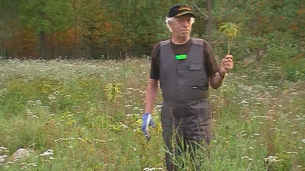 vlcsnap 2010 09 18 00h09m05s112