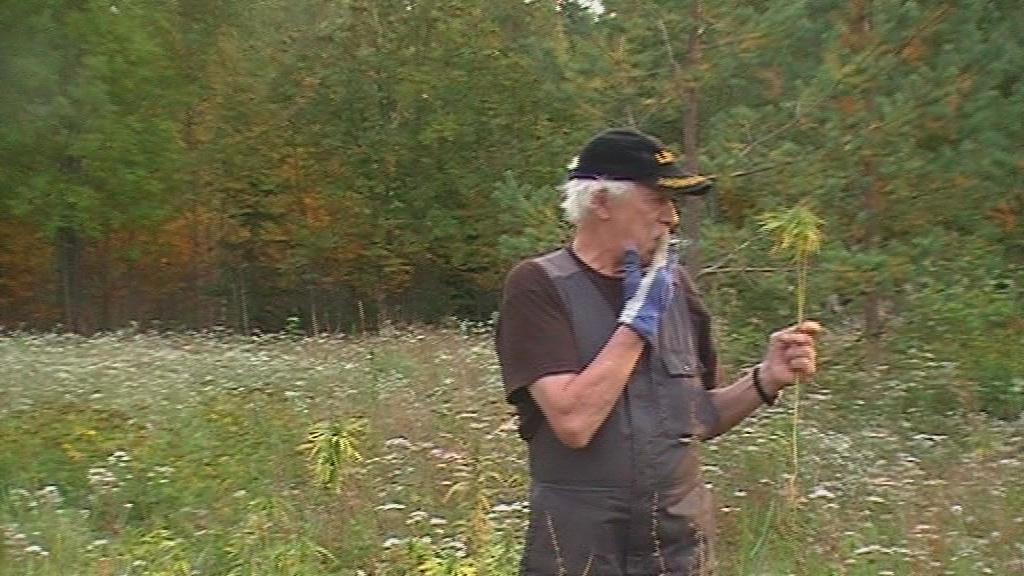 vlcsnap 2010 09 18 00h09m18s240