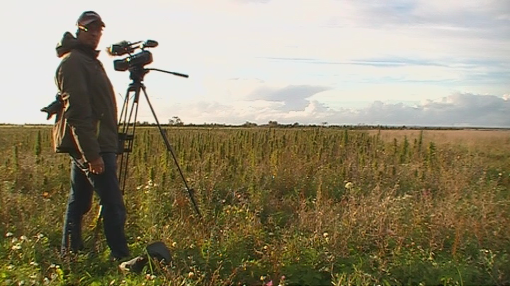 vlcsnap 2010 09 18 01h34m26s81
Tyhjennä Keskusteluhistoria
17:59ZiDi
moro
17:59Minä
moro
17:59ZiDi
mitä mies
oot vissiin vaihtanu maisemia
18:00Minä
enpä ehdi sen pidempään arvioimaan, näitä luukkuja on kymmeniä auki näköjään, en halua vähätellä sinänsä
jep virossa
6ha cannabis sativaa
18:00ZiDi
18:01Minä
jepa
18:01ZiDi
riittävästi
meneex se johonkin juttuun vai ihan perinteisiin juttuijhin..
18:02Minä
ok, kirjoittaa voi ja luen varmasti, mutta en ehdi näihin keskusteluihin mitenkään tai ainakin jää sitten kasvi peltoon. ideoita ja ehdotuksia aiheeseen littyen otetaan vastaan
kaikki hamppu on perinteistä
niin se vain on
18:02ZiDi
;D
hjuva
18:03Minä
hei laitan linkin jos et ole käynyt vielä katsomassa, säästämme aikaa tiedotuksen osalta, pistä stooria tulemaan mutta huonosti ehdin välillä vastaamaan ajankäytöllisistä syistä
moment
18:04ZiDi
juh ymmärrän
18:04Minä
http://www.youtube.com/watch?v=k12yVj2kXQo
nuo 2 sätkää maksoivat nyt sitten veronmaksajille yli miljoona euroa
18:05ZiDi
18:05Minä
jos voima ei sensuroi niin seuraavassa voima-lehdessä aiheesta lisää
jepa
vielä tuo eestin tv, moment
http://www.reporter.ee/2010/09/27/laanemaal-laiuv-kanepipold-andis-lopsaka-sugisloikuse/
että näin
18:07Minä
jatketaan, pistä linkkejä eteenpäin niin porukka pääsee tilanteen tasalle, joskus jutellaan rauhassa kun on aikaa, nyt on sadonkorjuun aika eestissä tosin labroissa menee vielä muutamia päiviä ja sitä s-postia pitäisi juuri olla tutkimassa ja miettimässä
kiitän kannatuksesta, pakko on muuttua tilanteen jos totuus jutussani tulisi julki
18:08ZiDi
jeps näin teemme!