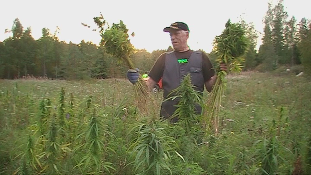 Hej och tack fr din kontakt till mej.
du kan kontakt farmaseut Markku Knuutila Turun linnan apteekki till exempell frn hr i facebook, han r den person vem har jobbad med medicinal cannabis recipinar med mnga personer i finland, du kan sag att jag hade rekommennandare han liksom en bsta spesialist fr gej mer information av den konstikt prosess med recipinar han var den person vem var i backrund arengering den frsta recipering till person vem har kronik back problematik och han hittade hjlp frn medicinal kannabis, nu i dag dr finns liksom tjugo - trettie personer tackar hennes hjlp nr jag har frstorde den rett. jag r lessen av dr har mnga personar ddas dom har vntad den bsta hjelp.

sama hommahan se tll, ruotsi voisi sujua todellakin paremmin vaikka olen joskus siell asustellutkin, ei ole helppo kieli suomikaan mutta kirjoitat asiaa ja erinomaisen hyvin. lkkeelinen kannabis voisi tuoda suuren avun mm. monista seln hermovaurioista krsiville ihmisille ja aion olla antamassa oman osani tuon asian edistmiseen jatkossakin,  11.10 suomi-tv:ll on tunnin ohjelma aiheesta, lkkeellisen kannabiksen saatavuuden vaikeudesta viel tmnpivn suomessa, ohjelmassa  kyseenalaistetaan suomen valtion toimet inhimillisyyden puolesta jo nykyisen opiaattipolitiikankin vuoksi jotka ovat rikos ihmisyytt vastaan jonka vuoksi tuossakaan asiassa suomea ei voi en katsoa kuuluvaksi ihmisoikeusvaltioiden joukkoon kuuluviin maihin. 

Toivon issi saavan avun, lisksi kannabista pitisi olla laillisesti hankittavissa jokaisen tysikisen joka niin katsoo tarvittavan tehd, jo pelkstn menetetyt verotulot ja turha ammattirikollisuuden tukeminen ovat seikka joka puoltaa mm. laillisten kannabiskahviloiden perustamisen kiirehtimist  Euroopan unionin alusmaahan suomeen, jossa nm asiat ovat mahdollisia jo voimassaolevan lainsdnnn soveltamisesta rippuen kuten siitkin, onko esimerkiksi kipupotilaiden ja alkoholiriippuvaisen ihmisten paremman kohtelun jrjestmisen toteuttaminen  lhellekn optimitilannetta viel tmnpivn suomessa


Iltaa
 Palaa kansioon Viestit Merkitse lukemattomaksi Ilmoita roskapostista Poista
Osallistujat: Sin ja 
 
4. lokakuuta kello 21:01 Ilmianna
Sattuisko sulla olemaan minknlaista infoa noista lkereist joka kirjoittaa cannabis-receptej, Turusta tai mist ne nyt on. Mun Is on synyt morfiinia monta vuotta seln kivun takia. Mutta nyt sill rupee olemann niin huonot, lever och njurar, ett sen pitis saada uus lkett. Sill on reuma ja ishas ja kaikki mit voi vaa olla. Mullakin on selkkipuja mut prjn viel yksin;) Urskta min dliga finska men jag hoppas du frstr. Jag har frskt hitta p ntet men nnu inte funnit ngot. S jag r mycket tacksam till all hjlp. Ha de bra and keep up the good work!
 
Timo Haara 4. lokakuuta kello 23:42


Offipalsta.COM > Urbancityboy's Profile > Albumit > Osmo ja sadonkorjuu, kannabiksen kasvatusta Suomessa ja Virossa 2010
Nyt kuva
Tervetuloa, Urbancityboy.
Viimeksi kvit: 04.10.2010 12:58
Viestej: 136 
Asetukset	FAQ / UKK	Yhteis Kalenteri	Uudet viestit	Haku Pikalinkit Kirjaudu ulos


Edellinen | Seuraava Kuva 7 of 20 :sta albumin kuvasta Osmo ja sadonkorjuu, kannabiksen kasvatusta Suomessa ja Virossa 2010

Hej och tack fr din kontakt till mej.
du kan kontakt farmaseut Markku Knuutila turun linnan apteekki till exempell frn hr i facebook, han r den person vem har jobbad med medicinal cannabis recipinar med mnga personer i finland, du kan sag att jag hade rekommennandare han liksom en bsta spesialist fr gej mer information av den konstikt prosess med recipinar han var den person vem var i backrund arengering den frsta recipering till person vem har kronik back problematik och han hittade hjlp frn medicinal kannabis, nu i dag dr finns liksom tjugo - trettie personer tackar hennes hjlp nr jag har frstorde den rett. jag r lessen av dr har mnga personar ddas dom har vntad den bsta hjelp.

sama hommahan se tll, ruotsi voisi sujua todellakin paremmin vaikka olen joskus siell asustellutkin, ei ole helppo kieli suomikaan mutta kirjoitat asiaa ja erinomaisen hyvin. lkkeelinen kannabis voisi tuoda suuren avun mm. monista seln hermovaurioista krsiville ihmisille ja aion olla antamassa oman osani tuon asian edistmiseen jatkossakin, 11.10 suomi-tv:ll on tunnin ohjelma aiheesta, lkkeellisen kannabiksen saatavuuden vaikeudesta viel tmnpivn suomessa, ohjelmassa kyseenalaistetaan suomen valtion toimet inhimillisyyden puolesta jo nykyisen opiaattipolitiikankin vuoksi jotka ovat rikos ihmisyytt vastaan jonka vuoksi tuossakaan asiassa suomea ei voi en katsoa kuuluvaksi ihmisoikeusvaltioiden joukkoon kuuluviin maihin. 

Toivon issi saavan avun, lisksi kannabista pitisi olla laillisesti hankittavissa jokaisen tysikisen joka niin katsoo tarvittavan tehd, jo pelkstn menetetyt verotulot ja turha ammattirikollisuuden tukeminen ovat seikka joka puoltaa mm. laillisten kannabiskahviloiden perustamisen kiirehtimist Euroopan unionin alusmaahan suomeen, jossa nm asiat ovat mahdollisia jo voimassaolevan lainsdnnn soveltamisesta rippuen kuten siitkin, onko esimerkiksi kipupotilaiden ja alkoholiriippuvaisen ihmisten paremman kohtelun jrjestmisen toteuttaminen lhellekn optimitilannetta viel tmnpivn suomessa.

ystvllisin terveisin Timo Haara.

:-)
http://www.a/
www.a
Jaa
 
Timo Haara 5. lokakuuta kello 0:05
tuo aurorakodin linkki on mukana sen vuoksi, ett siell asuville pyritn tarjoamaan ensimmisen suomessa luonnonmukaisinta mahdollista lkityst, siis muillekin kuin alkoholiongelmista krsiville ihmisille. kuvat ko. albumilinkeiss ovat suoraan pelloiltani ja pyrin siihen ett kannabis kasvaa jatkossakin asukkaiden kerttvksi ja yhteisesti hydynnettvksi, niin saunavihtoina kuin nikotiinitupakan korvikkeenakin. Kuvien pesiintyjll, Osmolla takanaan 70 ikvuoteen mm. kaksi vaikeaa selkleikkausta ja diagnoosit mm. viherkaihista, johon kannabiksen on todettu auttavan, hn on elv esimerkki kannabiksen tervehdyttvst voimasta johon toivon tutustuttavan toteutettavan elokuvaprojektin myt, josta kuvat ovat otettu ja jonka tuotosta haluaisin ohjattavan osuuden kannabissyplkekehitystyhn ja potilastutkimushankkeiden sek lketuotannon toteuttamiseen, niin kipu-kuin pihdepotilaillekin.

http://forums.offipalsta.com/album.php?albumid=3383&pictureid=67447
Offipalsta.COM - Urbancityboy:n albumi: Osmo ja sadonkorjuu, kannabiksen kasvatusta Suomessa ja Viro
forums.offipalsta.com
Suomen aktiivisin offroad-foorumi
Jaa
Vastaus: