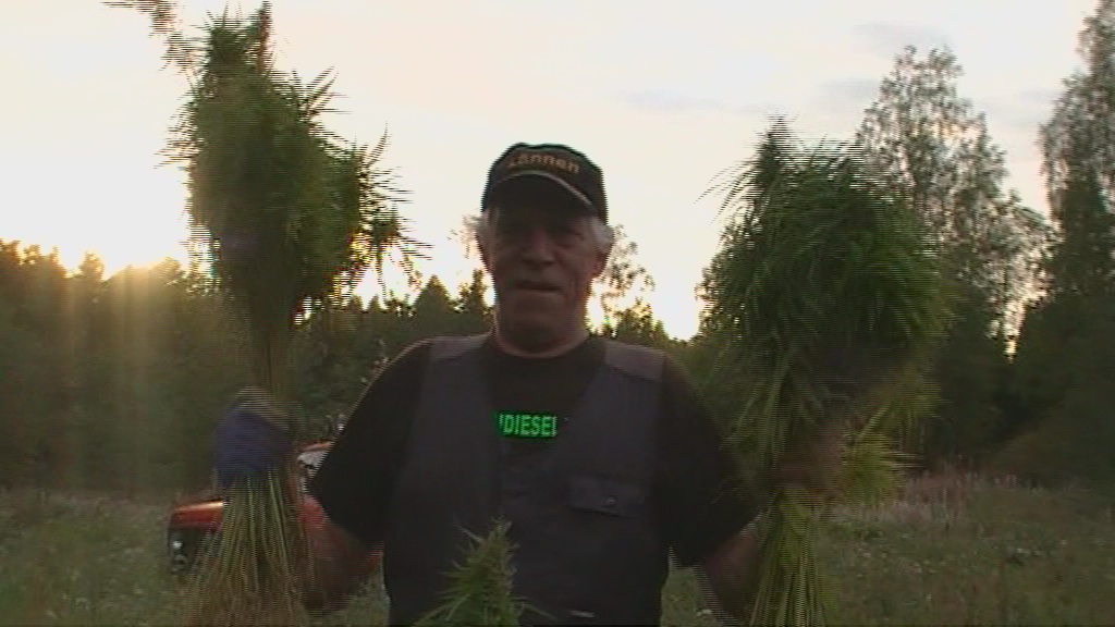 vlcsnap 2010 09 18 08h52m31s55



[Julius 
11:28
moi
kuis hurisee?
vainot on taas alkanut tampereella. kaupalle tehtiin eilen etsint ja asiakkaita tarkastetaan ja pelotellaan. ootko s ehdolla vaaleissa?
[Sin]
11:31
moikka julius monta luukkua auki mutta pist infoa kirjoitan kohta takaisin kun puran ruuhkaa
no ni
oletko tietoinen tilanteesta tll?
vaihtelee kytnt nkjn
[Julius
11:34
myskin pavunvarteen tehtiin etsint tuossa viime vikonloppun
mik siel on tilanne?
[Sin]
11:35
itsell tuhansia kiloja peltohein hallussa
[Julius 
11:35
:):)
[Sin]
11:35
laitan pari linkki
[Julius 
11:35
loistava toi keskustelu riipisen kanssa. oon laittanu jakooon joka paikkaan
[Sin]
11:36
http://www.youtube.com/watch?v=k12yVj2kXQo
2 stk
hmm
miljoona meni veronmaksajien rahoja
suomen kalleimmat savukkeet?
tuo juttuhan on mys jo voiman sivuilla
katsoitko eestin tvn
[Julius 
11:38
en katsonut, linkki?
[Sin]
11:38
secundo
no tuo on nyt ihan juuri tullut, itser olin kaneppelloillani (laimeaa peltohein, alle 2%THC) viikko-pari sitten samassa ohjelmassa
[Julius 
11:40
siis siithn aina lhdetn ett syytetty valehtelee ja poliisi tekee itse omat johtoptkset. suomessa olet syyllinen kunnes toisin todistetaan
[Sin]
11:40
http://www.reporter.ee/2009/07/22/krimi-kas-eesti-oleks-valmis-kanepi-legaliseerimiseks/
http://www.reporter.ee/2009/07/22/krimi-kas-eesti-oleks-valmis-kanepi-legaliseerimiseks/
ei anna liitt linkki
tulihan se
[Julius 
11:41
noniin
[Sin]
11:41
en ole katsonutkaan mutta tuosta kielest ymmrt
lupsakat pllut
eli hyvt pellot
vaik soomes on kanepin kasvattaja kurja tekija on han eestis arvostetud pllumees joka antab rahvaalle tn ja leivan
uusi nokia mm
bioetanolia, lkkeit
ympristystvllist kuitua josta voi valmistaa vaikka lastenvaatteita
[Julius 
11:43
virolaiset on tajunnu ja juntit suomalaiset laahaa viimesen perss
[Sin]
11:44
mutta ents nyt kun on tm suomi-eesti-yhteistyhanke, en ole suomessakaan kriminalisoitu ja tllkin on lupsakat pllut
kuten mm. voima-lehden sivuilta voi todeta ja nist kuvista
[Julius 
11:44
suomi on sittenkin mukana? nice
tytyy kaivaa voima jostain
[Sin]
11:45
http://fifi.voima.fi/kuvareportaasi/2010/lokakuu/paiva-keiteleen-hamppuplantaasilla
kannattaa kuunnella fifiaudio mys
[Julius 
11:46
painetaan hamppupaitoja: Kiitos Timo Haara, alle suomen lippu ja 1,7Ha, mit mielt?
[Sin]
11:47


ett nin tllkin, firma perusteilla Cannabis Sativa oy Finland mm mutta valtio saisi maksaa peltokorvaukseni ennen eu-tuomioistuimeen menoa koska muuten tulee suomalaiselle veronmaksajalle todella kalliiksi ja nuo kulut voidaaan sst kun linjataan tm nyt eestin kanssa yhdess kuntoon kuten eesti nytt jo tekevnkin


viro on nyttnyt suomelle mallin, Hyv Eesti

mutta savon sydmess hamput huojuvat jatkossakin

[Julius 
11:48
!!!!!!!!
kuuloastaa perkeleen hyvlt
s oot tehny hienon tyn!
[Sin]
11:49
katson tuon krimi-ohjelman kannabisjakson nyt, kyseess on eestin suosituin ajankohtaisohjelma reporter-ohjelman ohella
en ole nhnyt viel itsekn
kiitos
nyt vain tuottamaan ja suuria mri
resrssien puitteissa
[Julius 
11:50
nin
[Sin]
11:51
siis resurssien, voitaisiin ottaa norja thn viel mukaan, vastakauppoina vaikka kuparia, sithn norjalla on ja on hyvin pitkll legalisaatioprosessissa
kannabista eurooppaan tuottamaan sertifikoiduilla lajikkeilla
Estonia1
Keitele1
FIN420
FIN 315
[Julius Kivi]
11:53
eiks se tofu tehdaskin halunnut siemeni tofun tuotantoon, olikohan se turussa
?
[Sin]
11:53
eivt ole tosin rekisterityj mutta muutama vuosi sitten dokkariprojektin kuvatessa lin meistill lyijylaattaan noita numeroita ja rekisterid aion

tarjoan valtiolle suurta osaa lketuotannosta
suomen parhaimmat huippukasvattajat tukena
[Julius 
11:54
ja suomestahan niit lytyy
[Sin]
11:54
verotulojen mr ja sstetyt lkekulut, hyvi lukuja
[Julius 
11:54
hei mulla olis yks tyyppi joka on mm. kirjottanut "sieni oppaan" hullu mykologi
[Sin]
11:54
hmisyyden huomioiminen
kannattaa sienioppaatkin lukea tarkasti, totta
voi maksa menn jos sy kymmeni tai satoja silokeita viikonlopussa esim
[Julius 
11:55
mutta siis sanon ett tm tyyppi on itsepoppinut tiedemies
[Sin]
11:55
verkottukaamme!