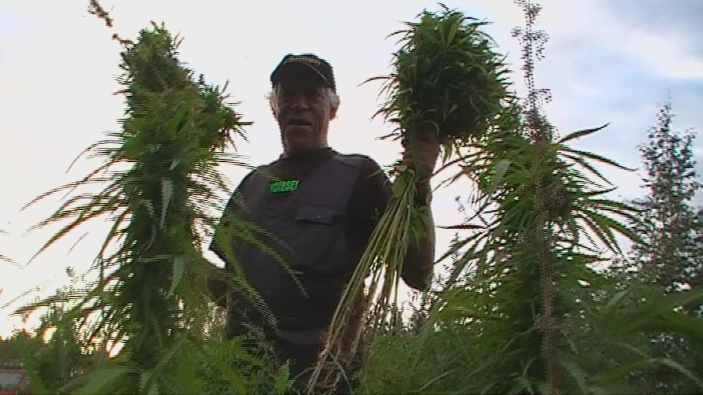 vlcsnap 2010 09 18 08h53m10s185



Timo Haara, Estonia 


Asia: vankeusrangaistuksen lykkmispyynt

Viite: Puhelinkeskustelumme 11.4.2011,

        http://www.rikosseuraamus.fi/26350.htm


Hei! Viitaten puhelinkeskusteluumme asiasta 11.4.2011 Tiedustelen mahdollisuutta lykt vankeusrangaistuksen tytntnpanoa sosiaalisin ja taloudellisin perustein puhelinkeskustelussa kertomani mukaan. Olen tll hetkell viljelemss laillisesti Cannabis Sativaa toisessa EU:maassa jossa olen kynnistmss kannabiksen ostoon, myyntiin,  jatkojalostukseen sek tuotantoon liittyv liiketoimintaa Eestiss, jossa en voi hoitaa tuotantoani ja ammattiliiketoimintaan thtvi toimiani mikli en ole itse fyysisesti lsn paikan pll toteuttamassa tuotantoa sek konsultoimassa paikallisia yhteistoimijoita ja viranomaisia tuotannon, liiketoiminnan sek viljely- ja sadonkorjuutekniikan suhteen johon heill ei ko. alan harvinaisuuden vuoksi ole viel kasvin vaatimien erityispiirteiden sek erikoisammattiosaamisen vuoksi kokemusta, osaamista eik ammattitaitoa. Korostan, ett en voi vankilasta ksin nit toimenpiteit suorittaa koska ne vaativat esimerkiksi oikeaoppisen kylvtekniikan, tuotannon valvonnan sek sadonkorjuutekniikan vuoksi konkreettisen lsnoloni, muutoin 2 vuoden aikana tnne Viroon tekemni usean tuhannen euron investoinnit ja tuotto-odotukset tullaan menettmn. Lisksi teollisen prosessoinnin puolelta minun on mm. voitava toimittaa kasvinytteit tuotannon jatkojalostajille, kuten puhelinkeskustelussamme tuli esille. Vankilasta ksin en voi olla valitsemassa ja toimittamassa virvoitusjuomamarkkinoille  suuntaamaani koe-er kasvimateriaalista Suomessa ja Eestiss toimivalle virvoitusjuomatehtaalle, mikli en voi konsultoida ja olla valvomassa kasvin sadonkorjuuta tuotannon talteenotto ja prosessointi ei tule onnistumaan koska paikallisilla viljelijill ei ole kokemusta eik tietoa hampun viljely- ja sadonkorjuutekniikoista eik oikeasta siemenen  prosessitekniikasta. 

Vankeustuomion tytntnpano kesken satokauden tulee aiheuttamaan minulle huomattavat taloudelliset tappiot ja est laillisen liiketoimintaan thtvien tiden, kuten tmn kauden olennaisen ja toiminnan jatkuvuuden kannalta erittin trken lajikevakautuksen suorittamista sertifikoitavien siemenlaatujen tuomista laillisena verollisena liiketoimintana Virosta ksin tapahtuvana siemenkauppana Euroopan ja muun maailman markkinoille, joissa hampun laadukkaille siemenlaaduille sek niist saataville jatkojalosteille on jatkuvasti kasvava kysynt, johon nykyiset ammattitoimijat eivt viel pysty vastaamaan ja jossa piakkoin markkinoille tulevat muut toimijat toimintani estyess tulevat saamaan kilpailuedun joka itsellni toiminnan normaalin jatkuvuuden osalta viel tll hetkell on, mutta jonka kesken tuotantokauden tapahtuvan vankeusrangaistuksen myt toiminnan ja tuotannon estyess tulen menettmn. 

Kannabiksen lailliseen liiketoimintatuotantoon thtvt pyrkimykseni ovat jo vuosien ajan suomessa estetyt, kannabiksen tuotantoon thtvt toimet ovat mm. viranomaisten vuosien ajan tuhottua satoni suomessa aiheuttaneet minulle n. 30 000 euron kulut ja haluan osaamiselleni vastineen sek ammatin tll Virossa jossa toimintaani, toisin kuin suomessa, virallisella taholla viranomaisten puolelta kannatetaan. Mikli joudun kesken satokauden vankilaan suomessa tulen menettmn kaiken tuotantoon sek liiketoimintaan liittyvn pohjatyn sek itse tuotannon koska minun on oltava tmn satokauden ajan konkreettisesti lsn ja toteuttamassa tuotantoa tll Eestiss kannabistuotantoalueilllani jossa minulla tlle satokaudelle on tulossa 25 hehtaarin viljelmt, esimerkiksi siemenen minimimyyntihinnan mukaan 2 e / kg sadonkorjuun ja tuotannon estyess tulee jo tst aiheutumaan suorat 15 - 20 000 euron vahingot, samalla monien oheistuotantoon liityvien asioiden, kuten esimerkiksi hamppupohjaisten virvoikkeiden sek monien muiden oheistuotteiden, kuten jo voimassaolevan elintarvikekytttuotantoaiesopimuksen mukaiset markkinoilletuomispyrkimukseni estyvt.

Olen tll vuonna 2011 tapahtuvalla tuotantokaudella aloittamassa ja jatkamassa laajamittaista sopimusviljely ja tuotantoa kannabikselle mys mm. Puolassa, jossa minun on satokauden aikana pstv kymn paikan pll konsultoimassa asiasta sek sopimassa paikallisen sadon hankkimisesta hallintaani  sek neuvoteltava jatkotuotannon jrjestmisest seuraavalle satokaudelle, sek voitava olla jrjestmss mm. kannabisljyn puristamistekniikan paikallesaantiin sek siemenkuorintatekniikan toimintaansaattamiseen liittyvi asioita joita en voi vankilasta ksin jrjest. Nit talouteeni suoraan liittyvi asioita on mahdoton jrjest ilman konkreettista lsnoloani koska kukaan muu ei nit asioita riittvsti todistettavasti osaa tll hetkell eik minulla ole siihen asiaan soveltuvaa ja olemassaolevaa yhteistykumppania joka voisi nit asioita puolestani hoitaa.


Pyydn kunnioittavasti 6 kk lykkyst tuomion tytntnpanossa ett voin suorittaa ammattitoimintaan thtvt tuotanto- konsultointi- ja tytehtvni tll toisessa EU-maassa Virossa jossa olen tll hetkell tuottamassa kannabista laillisille Euroopan markkinoille ja jolla alalla tulen tyllistymn mikli asiassa tarvitaan lausuntoja toimintani todisteeksi, voin toimittaa vaadittavat dokumentit asiassa, esimerkiksi Suomen lapissa toimivat ammattimaiset kasvihuoneet ovat paikallisen yrittjn ja TE-keskuksen johdon kautta pyytneet minua konsultoimaan ja kehittmn suomen lappiin soveltuvan ja siemen- kuitu- ja ljysatoa tuottavan kannabislajikkeen sen aloitettavaa ammattimaista suurtuotantoa varten ja jonka lajikevakautus- ja sertifikointikelpoisuustuotanto ei ole mahdollista ilman konkreettista lsnoloani ja asiaan liittyvien tuotannon kontrolloinnin, muun valvonnan sek muiden asiaan liittyvien tytehtvien suorittamista paikan pll tll Virossa.


Kaikkiin nihin asioihin saan tarvittaessa pyydettvt lisselvitykset ja dokumentit jos niit katsotaan tarvittavan. Pyydn kunnioittavasti vankeusrangaistukseni lykkmist 6 kuukaudella yllmainitun toiminnan suorittamista varten.

Yhteistyterveisin, kunnioittavasti,

Cannabis Sativan kasvattaja 

Timo Haara, Estonia.


Gmail


En saa kirjoitettua thn shkpostiin, teksti ei tule nkyviin
Vastaa
Timo Haara -> heikki.tossava.
tarkemmat tiedot 23.45 (27 minuuttia sitten)
Timo Haara, Estonia 


Asia: vankeusrangaistuksen lykkmispyynt

Viite: Puhelinkeskustelumme 11.4.2011,

http://www.rikosseuraamus.fi/26350.htm


Timo Haara, Estonia 


Asia: vankeusrangaistuksen lykkmispyynt

Viite: Puhelinkeskustelumme 11.4.2011,

http://www.rikosseuraamus.fi/26350.htm





vankeusrangaistuksen lykkyspyynt
Vastaa
Timo Haara -> heikki.tossava.
tarkemmat tiedot 0.08 (0 minuuttia sitten)
Liite vankeusrangaistuksen lykkyspyynthakemukseen, Timo Haara

Toivottavasti nm viestit tulevat lpi, laitan tuohon linkin oheen kopion vankeusrangaistuksen lykkyspyynnstni jota olen yrittnyt toimittaa sinne suomeen mutta shkpostini ei toimi parhaimmalla mahdollisella tavalla, sama vankeusrangaistuksen lykkyspyynt lytyy mys Facebook-etusivultani sek Eestin television ja valtakunnan pivlehtiin tietoon toimitettuna ja yleisesti mm. www.offipalsta.fi :n ja yli tuhannen Facebook-kaverini luettavana sek kaikkien Facebookin kyttjille julkisena asiana joten olen parhaani mukaan yrittnyt tehd asian tietoonne ja ksiteltvksi. 

Toivon parhainta mahdollista ptst kyseisess asiassa, lisksi ilmoitan jo tss yhteydess ett en aio suorittaa suomen korkeimman oikeuden toimivallan kyttmttjttmisen seurauksena tytntnpantavaa tuomiotani suomessa, jonka oikeus- ja viranomaisjrjestelm toimii tll hetkell osin laittomalla pohjalla jonka voin mys todistaa mm. oikeusasiamiehen huomauttamien ja todettujen poliisin virkarikosten osalta tutkintani yhteydess vaan anon psy Viroon vankilaan jonne yhteistyss Viron poliisin ja viranomaisten kanssa tulen psemn syksyn satokauden ja ehdottoman pakollisen sadonkorjuun jlkeen.

Muutoksenhakumahdollisuus tai vankeusrangaistuksen mys lykkminen helpottaisi tll Viron pss byrokratiaa ja Eestin viranomaisille suomen taholta aiheutuvaa haittaa kyseisess asiassa.

Toivon silti sielt suomesta parasta mahdollista annettavissa olevaa ptst kyseisess asiassa ja vankeusrangaistuksen lykkmist edelle mainituin syin jotka ovat esill julkisena hakemuksena allaolevassa linkiss ja shkpostimuodossa jonka toivon tulleen perille.

Kielteisen ptksen kyseessollessa pyydn kunnioittavasti perustelua asiassa ja valitusosoitusmahdollisuutta, mahdollisuutta ilmoittaa  tyytymttmyytt ja muutoksenhakumahdollisuutta asiassa.

Kunnioittavasti, Cannabis Sativan ammattimainen kasvattaja 

Timo Haara.


http://forums.offipalsta.com/album.php?albumid=3383&pictureid=67450