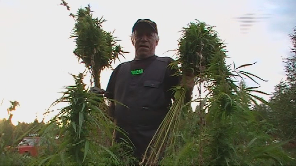 vlcsnap 2010 09 18 08h53m17s3
Tyhjennä Keskusteluhistoria
14:53Minä
moro
olen tässä vielä pienen hetken, voisi vaihtaa infoa
mikä on siellä asumisen tilanne, miten asuntoasiat
täällä olen poliisiaseman vieressä keskustassa siistissä asunnossa 50m2 ja about 50 e vuokra kuussa
ruoka on puolet halvempi kuin suomessa
4 e ravintola-annos mm
kukkamulta halpaa kuin mikä
14:55Minä
funtsaapa hommaa, hasa saadaan kyylä maahan, siis koira, ei hashis jota ei ole aikomus valmistaa, siis thc-konsentraattia ei ole aikomus valmistaa ilman asianmukaista lupaa ja hasa on koiran nimi
tullille ja poliisille mm tiedoksi
pistä viestiä, koitin soittaa aiheesta
ota kuvallinen henkkari tai passi heti ku voit, tai sinullahan varmaan jo onkin
11 pv jälkeen pääsee ilmaiseksi tutustumaan tähän kuvioon tämä on todella bisnespaikka
nyt toteutukseen!
laita feedback
palataan