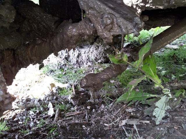 Etupern 'sulake' lytyi, tuo pits korjata ennen Lapland Trophy...