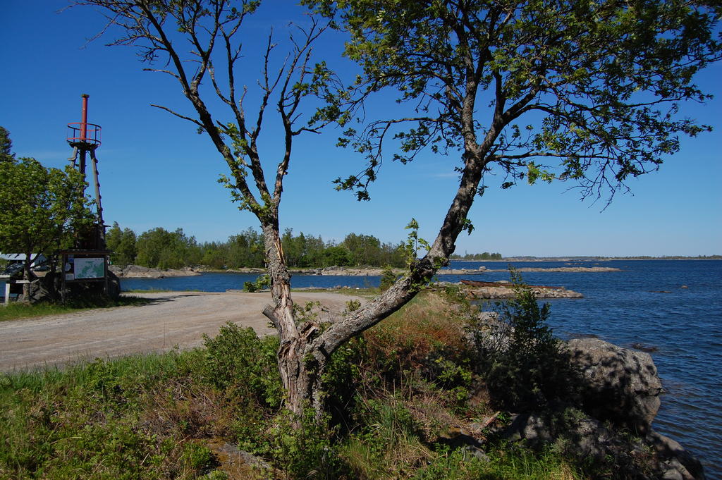 DSC 0117