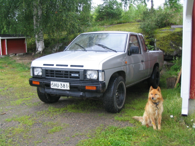 kyyhkyt 011