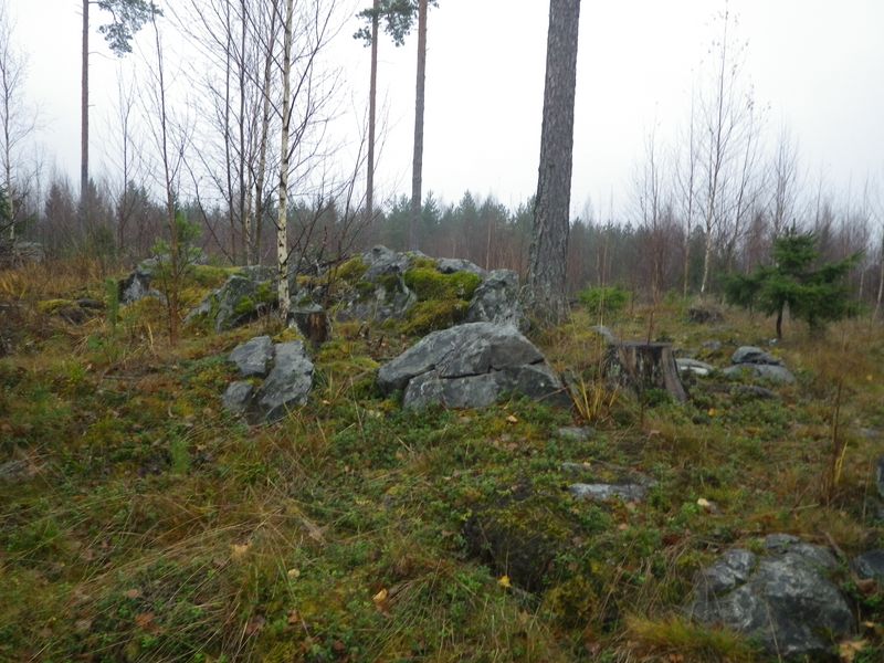 IMGP0933