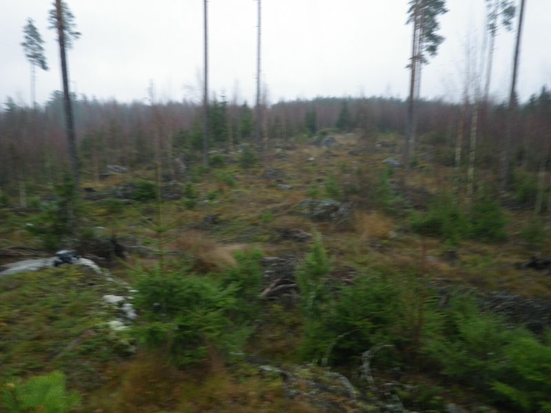 IMGP0937
