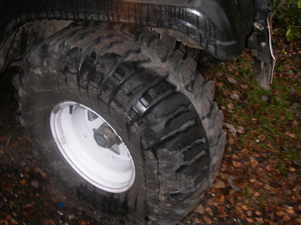 IMGP0157