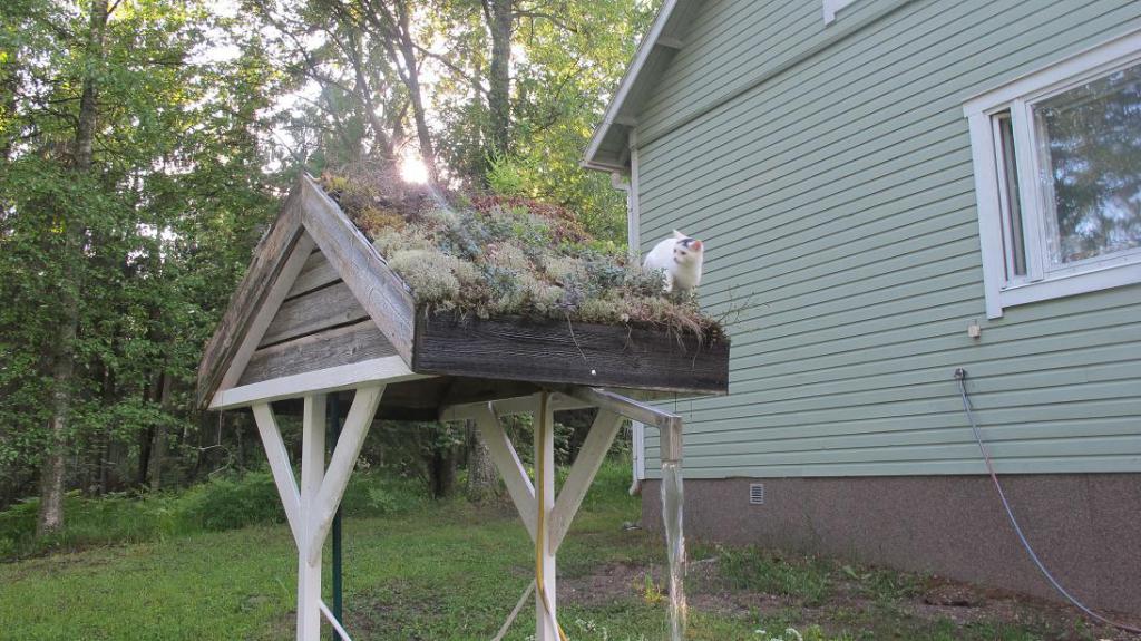 kaivo vialakin kesken, letkut pit piilottaa ja asentaa pumpulle katkaisija ja muuta pint