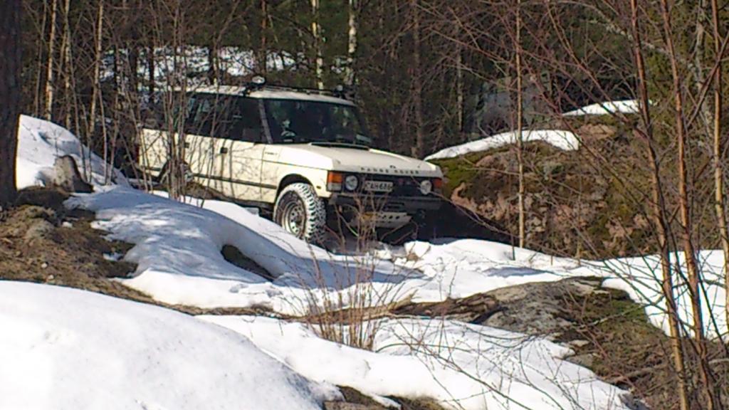 Dumbon serkku alas rinnett - 1