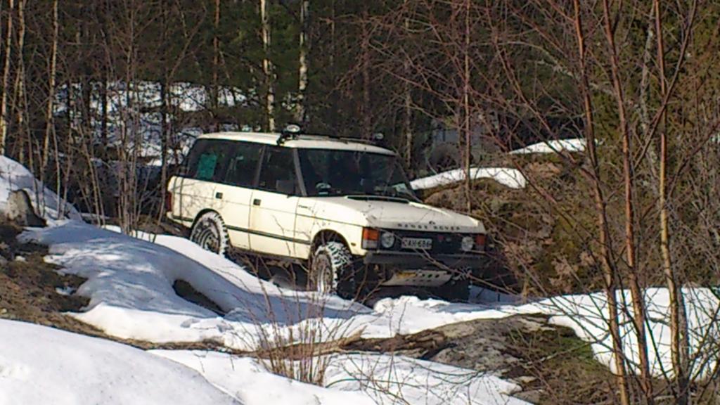 Dumbon serkku alas rinnett - 2