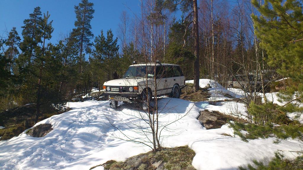 Dumbon serkku alas rinnett - 4