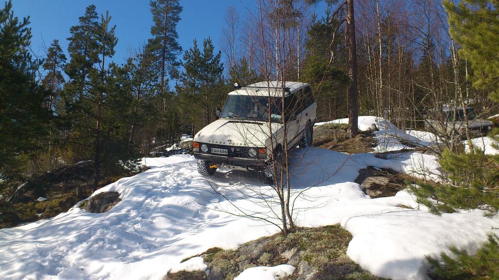 Dumbon serkku alas rinnett - 5