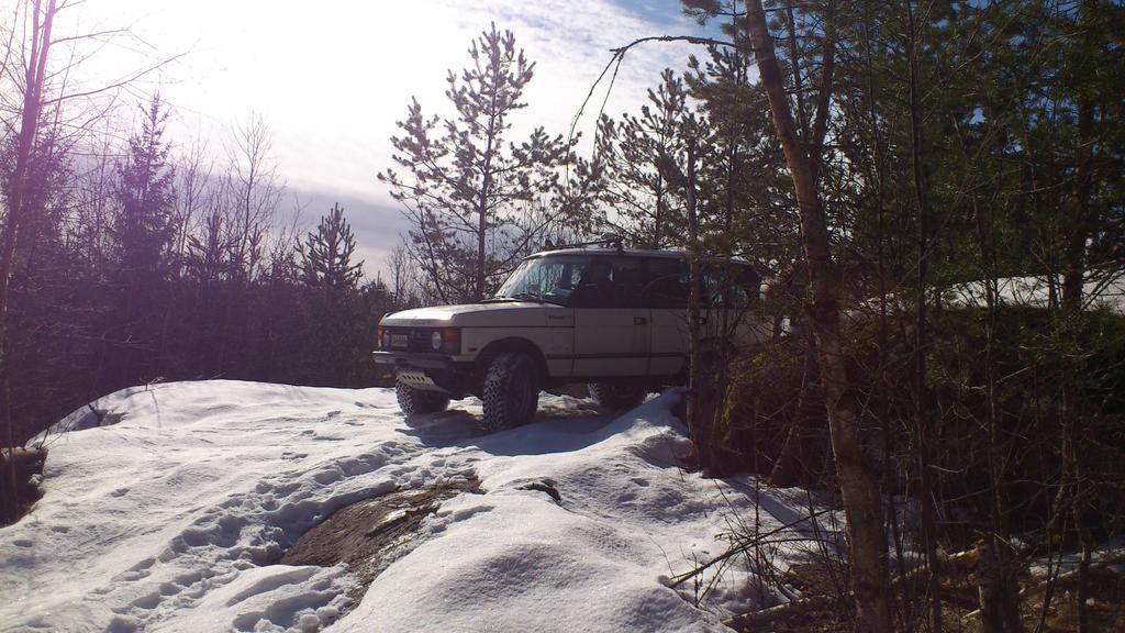 Dumbon serkku alas rinnett - 6