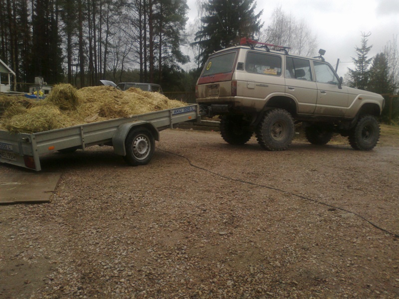 Krrylle tytyis teh jotain