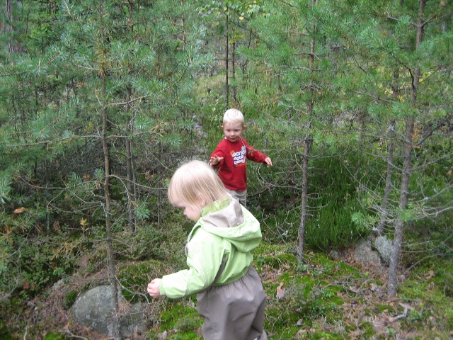 Jos metsn haluat menn nyt ...