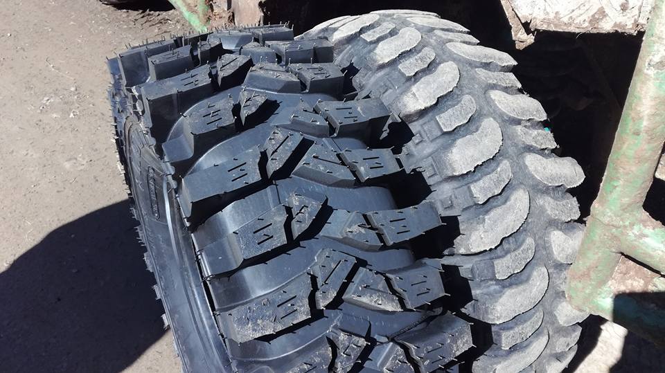 18221805 205370106646321 1491842361200534267 n