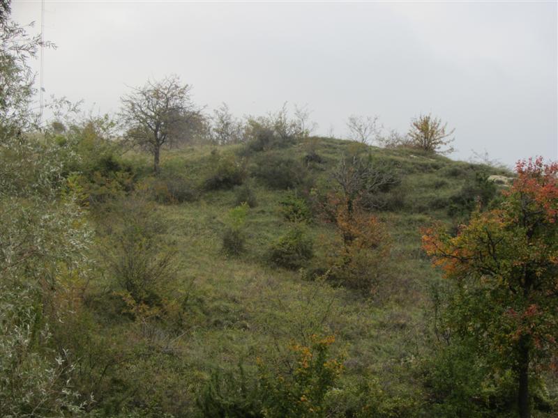 Pista 003 (Medium)