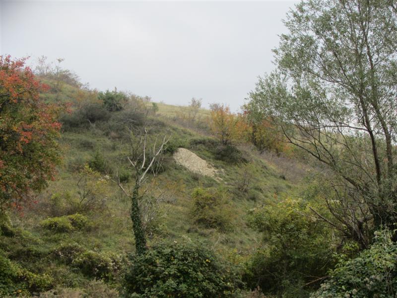 Pista 004 (Medium)