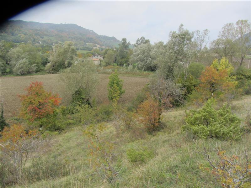 Pista e parco chiuso 011 (Medium)