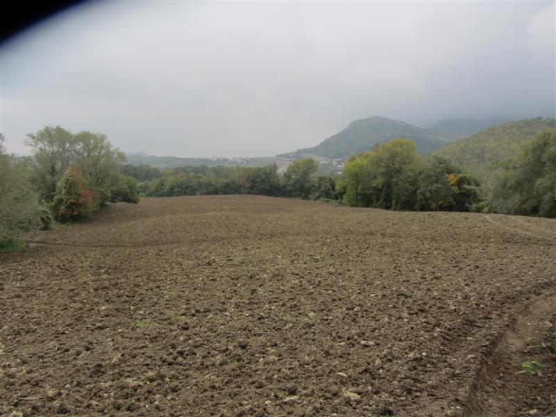 Zona Parco chiuso (Medium)