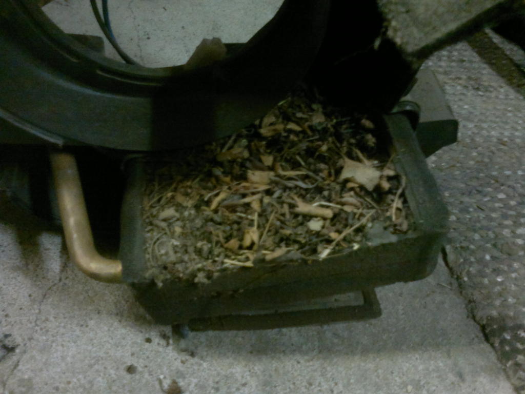 Oliki jo aika putsata.