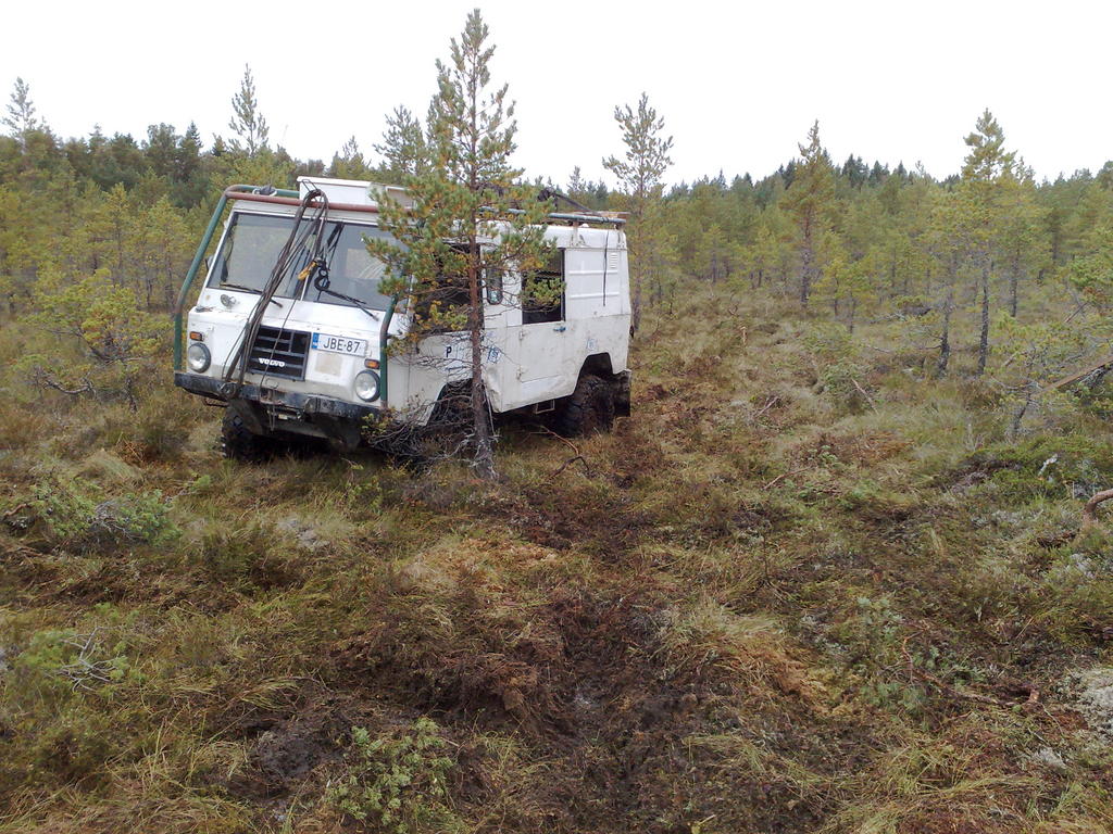 Ojitetun suon ojittamaton osa oli vhn pehme