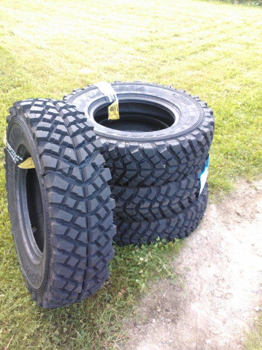 Tollaset postiset kiikutti pihaan (: