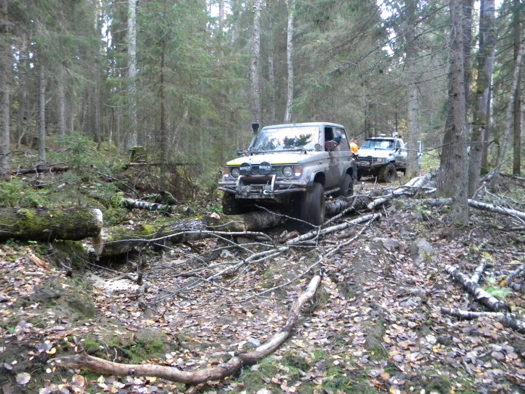 jari pienen puun pll2