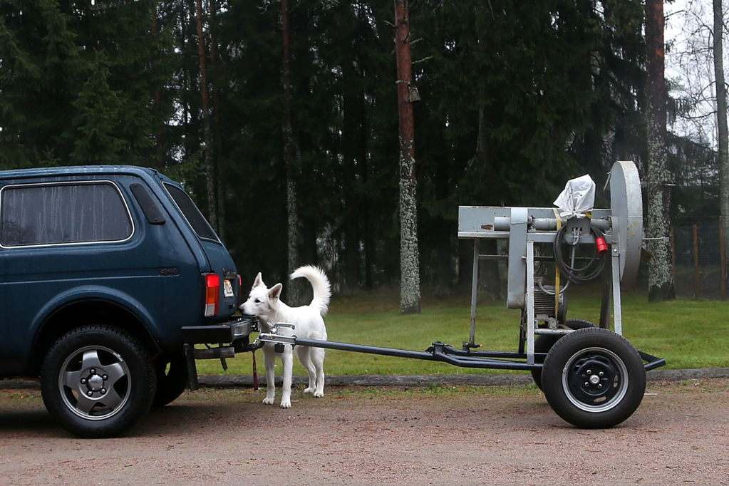 Pikasirkkeli 005