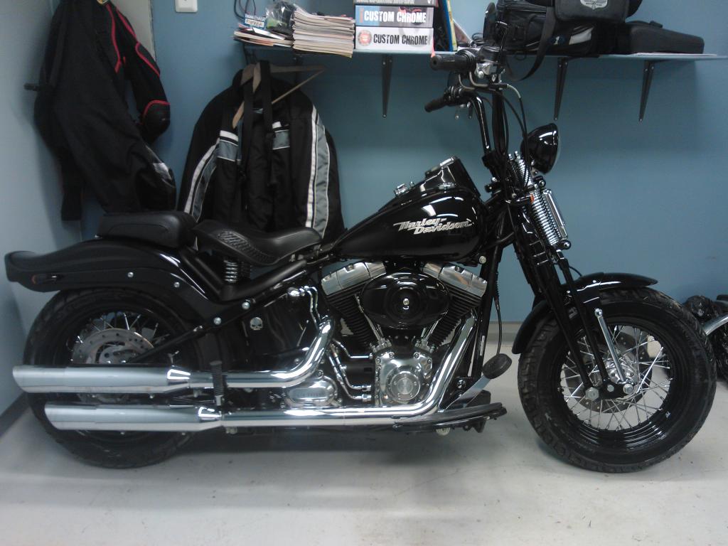 '08 FLSTSB Cross Bones