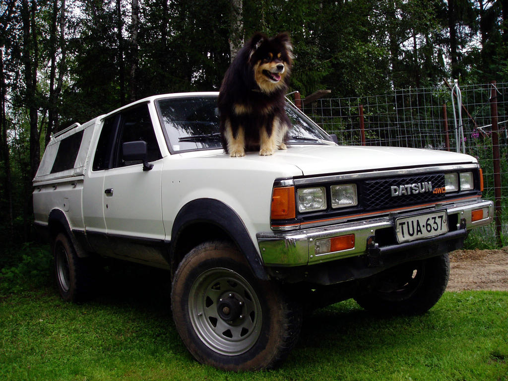 datsuni 004