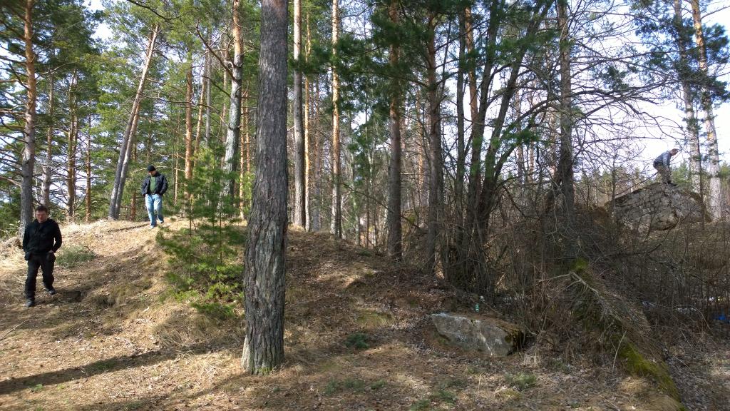 punkkereita katsastamassa