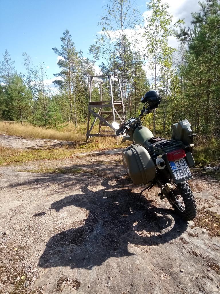 Ei nktorni vaan hirvitorni